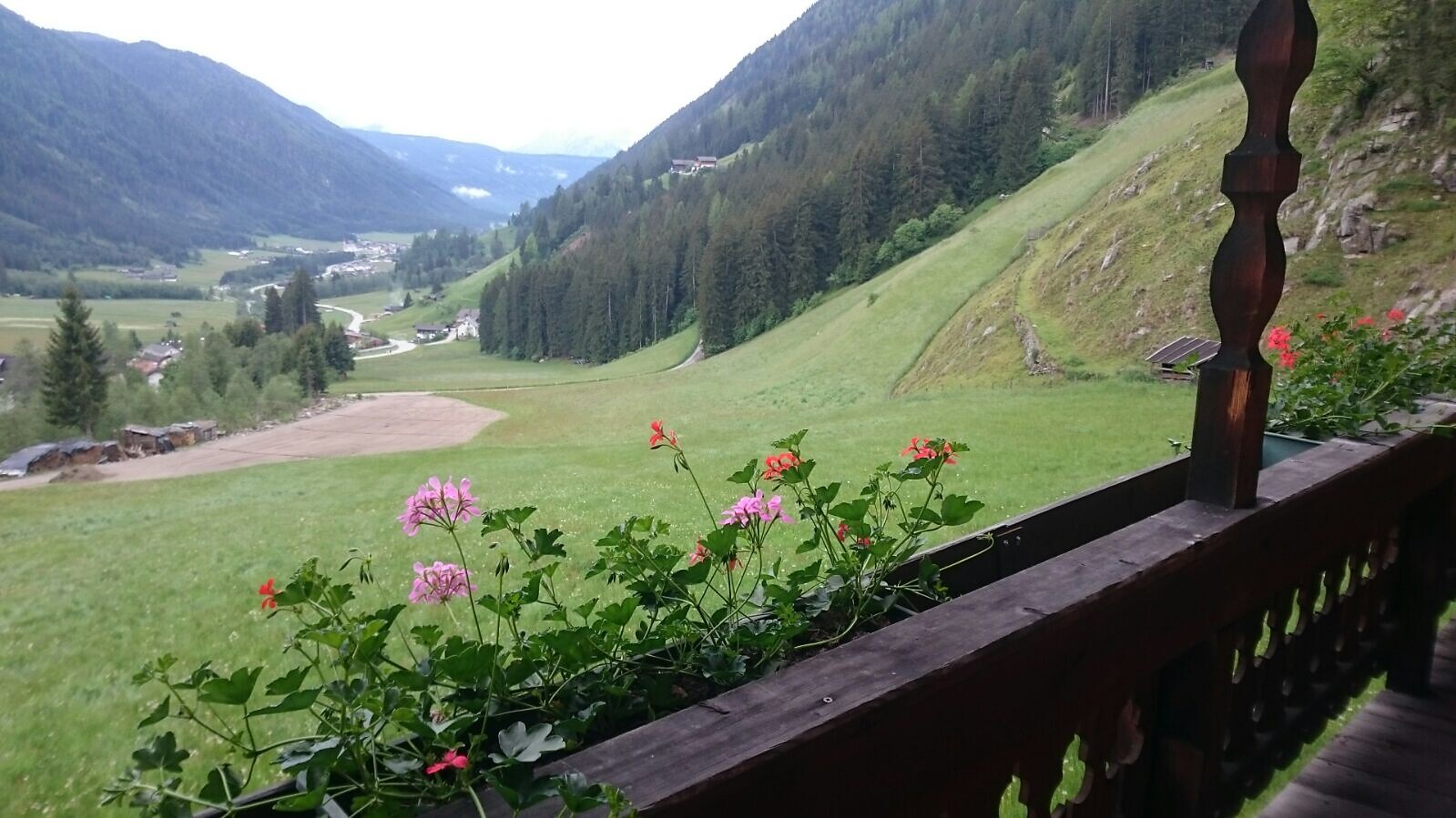 view