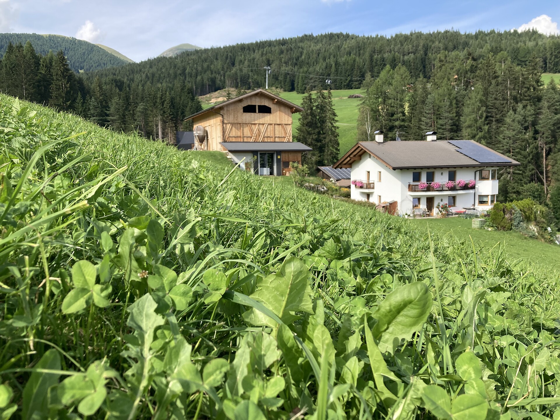 Brixlechnerhof