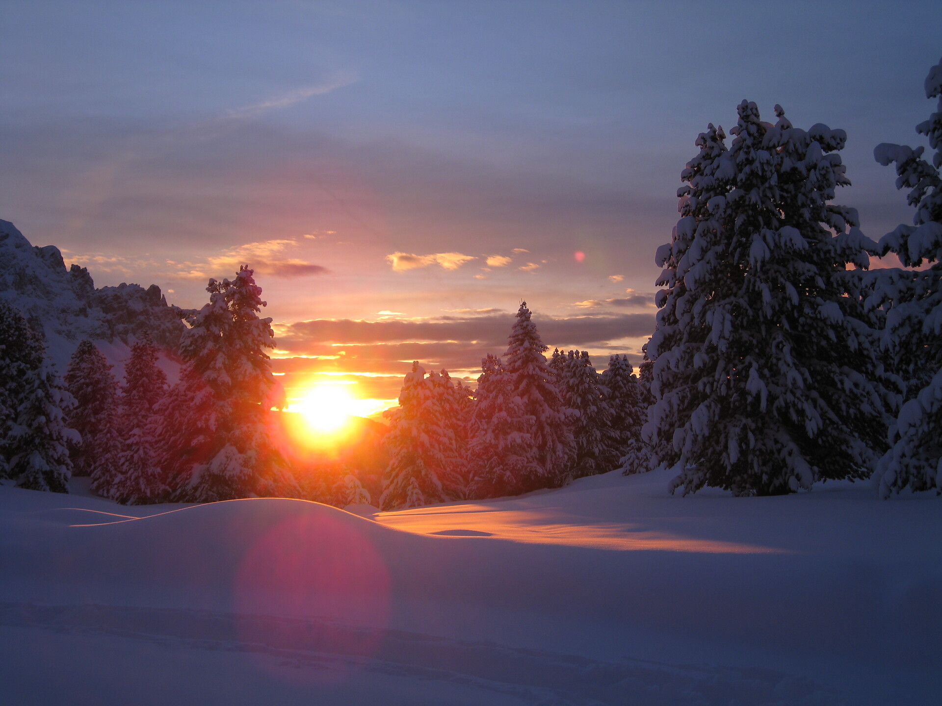 Winter
