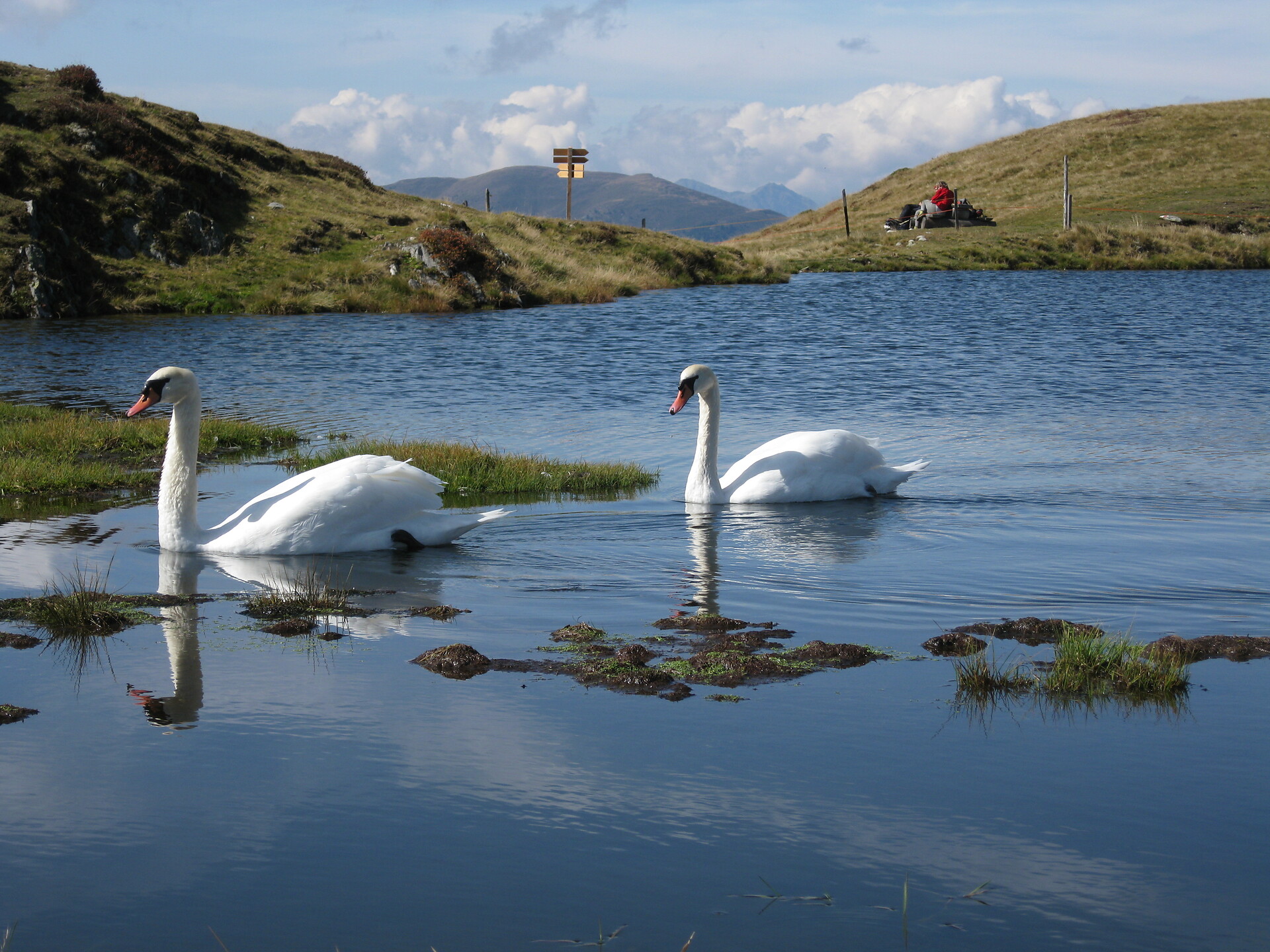 Lake