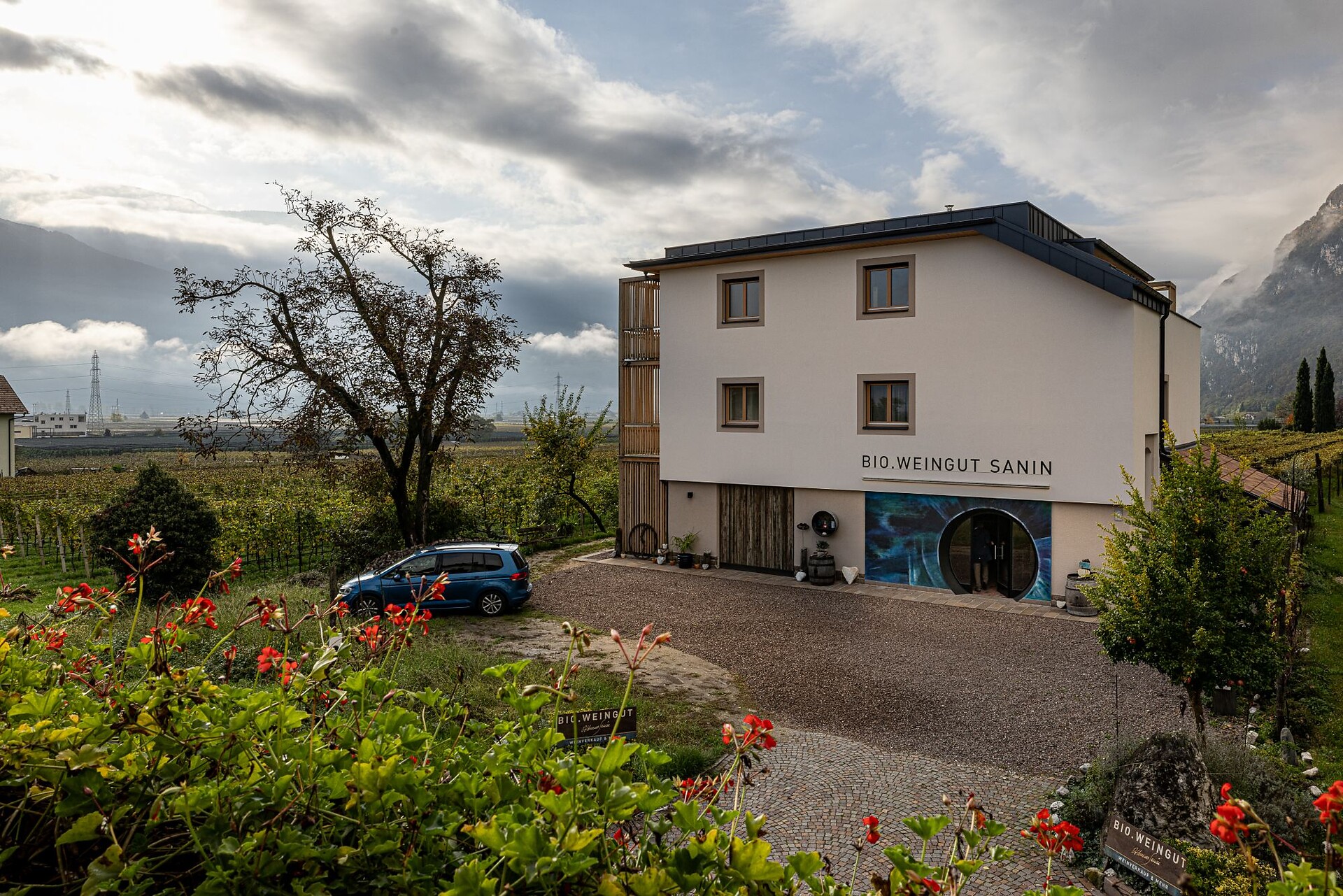 BIO.WEINGUT SANIN Magrè sulla Strada del Vino 1 suedtirol.info