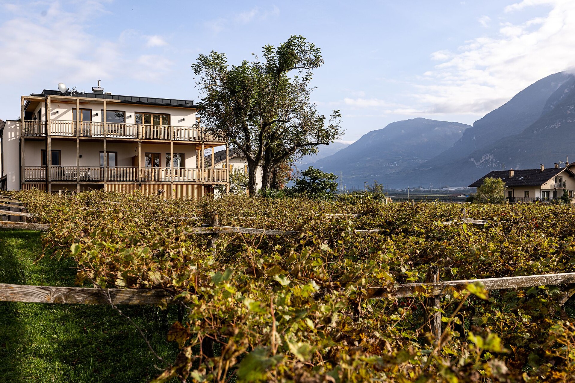 BIO.WEINGUT SANIN Magrè sulla Strada del Vino 3 suedtirol.info