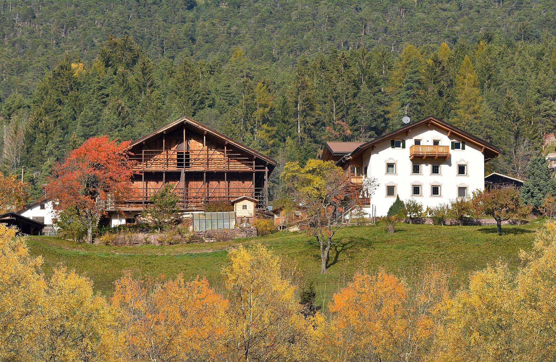 Autumn