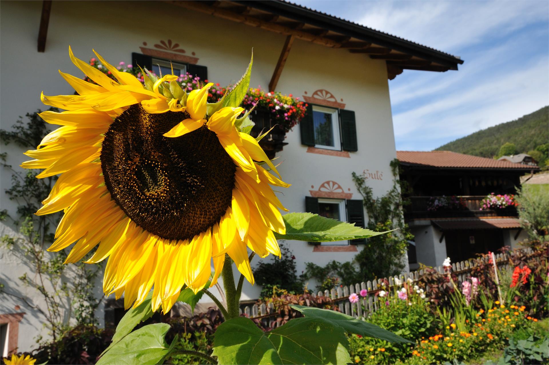B&B - Apartments Sule-Hof St.Ulrich 16 suedtirol.info
