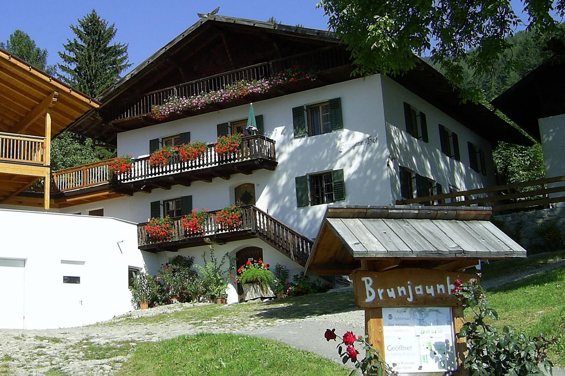 Brunjaun
