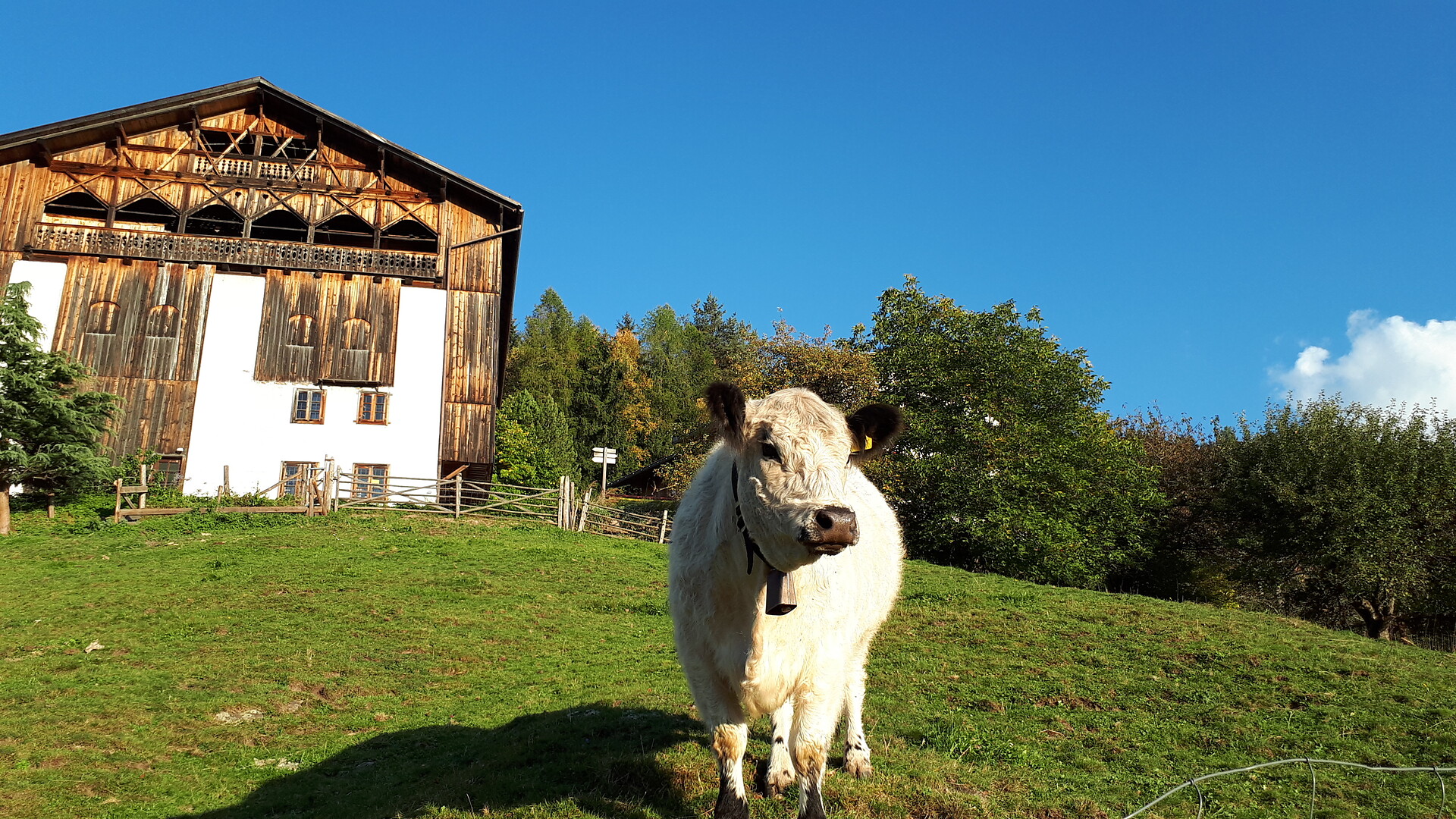 Farm