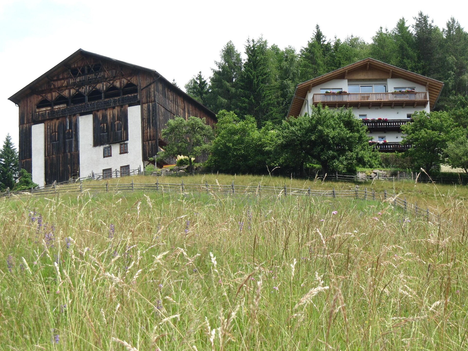 Grotthof