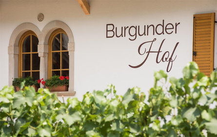 Burgunderhof Caldaro sulla Strada del Vino 3 suedtirol.info