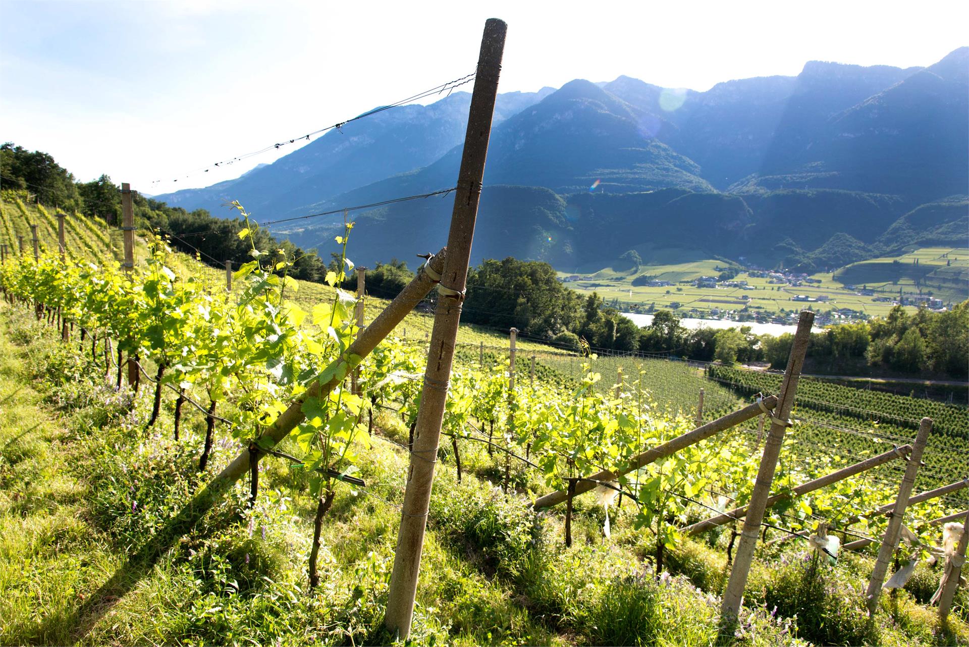 BNB Kreithof Kaltern an der Weinstraße/Caldaro sulla Strada del Vino 14 suedtirol.info