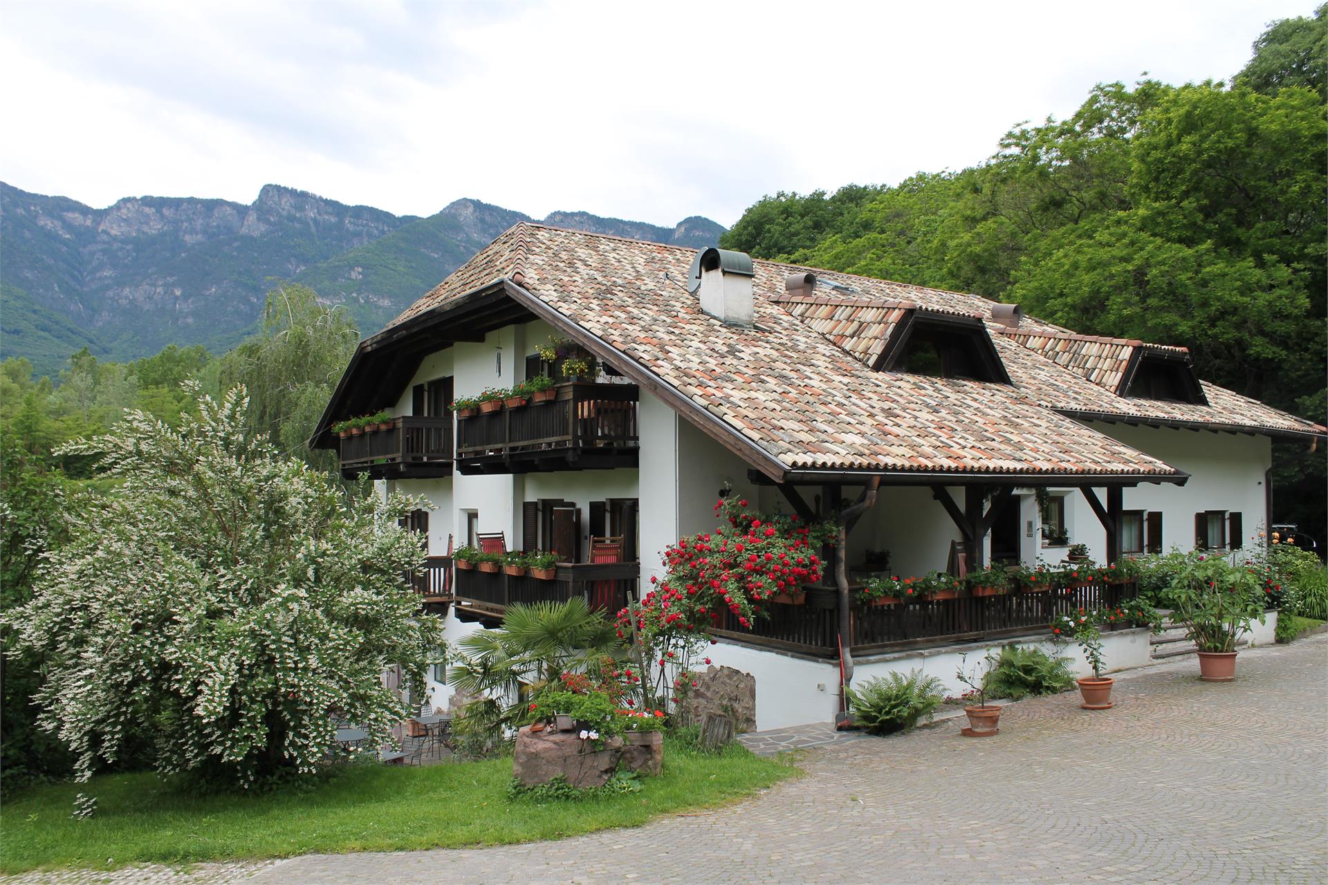 BNB Kreithof Kaltern an der Weinstraße/Caldaro sulla Strada del Vino 3 suedtirol.info