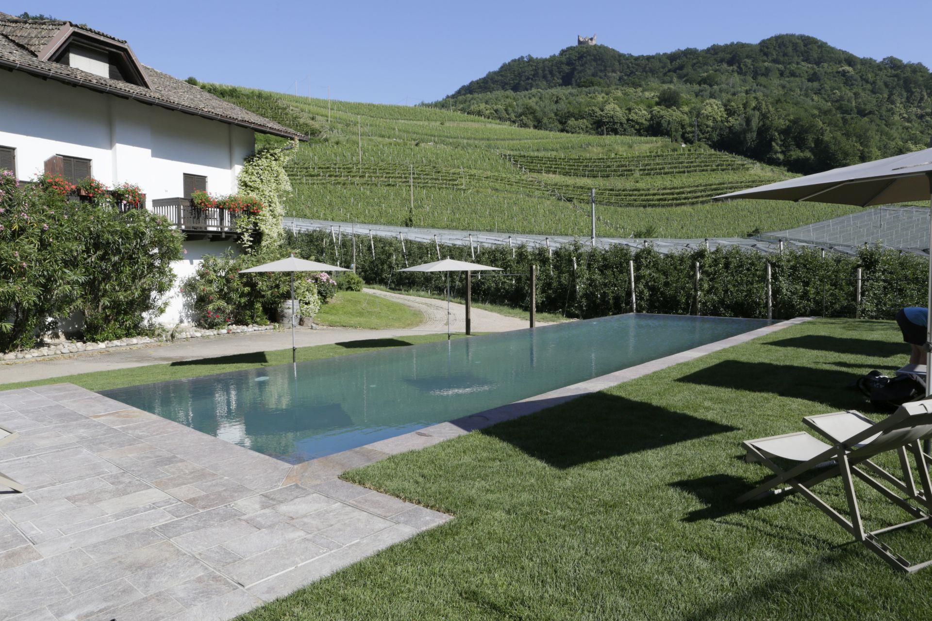 BNB Kreithof Kaltern an der Weinstraße/Caldaro sulla Strada del Vino 1 suedtirol.info