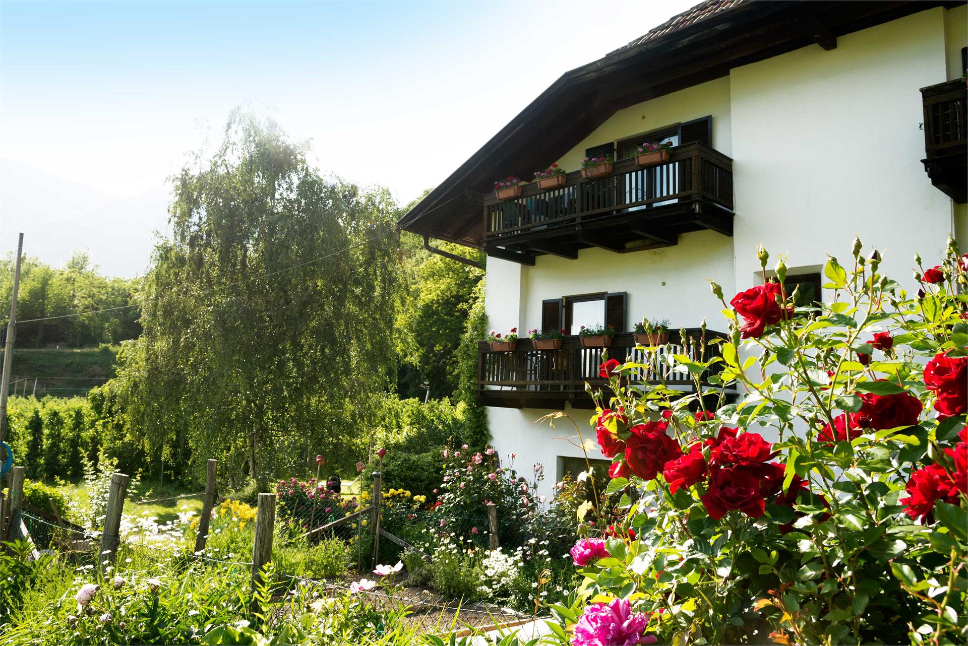 BNB Kreithof Kaltern an der Weinstraße/Caldaro sulla Strada del Vino 13 suedtirol.info