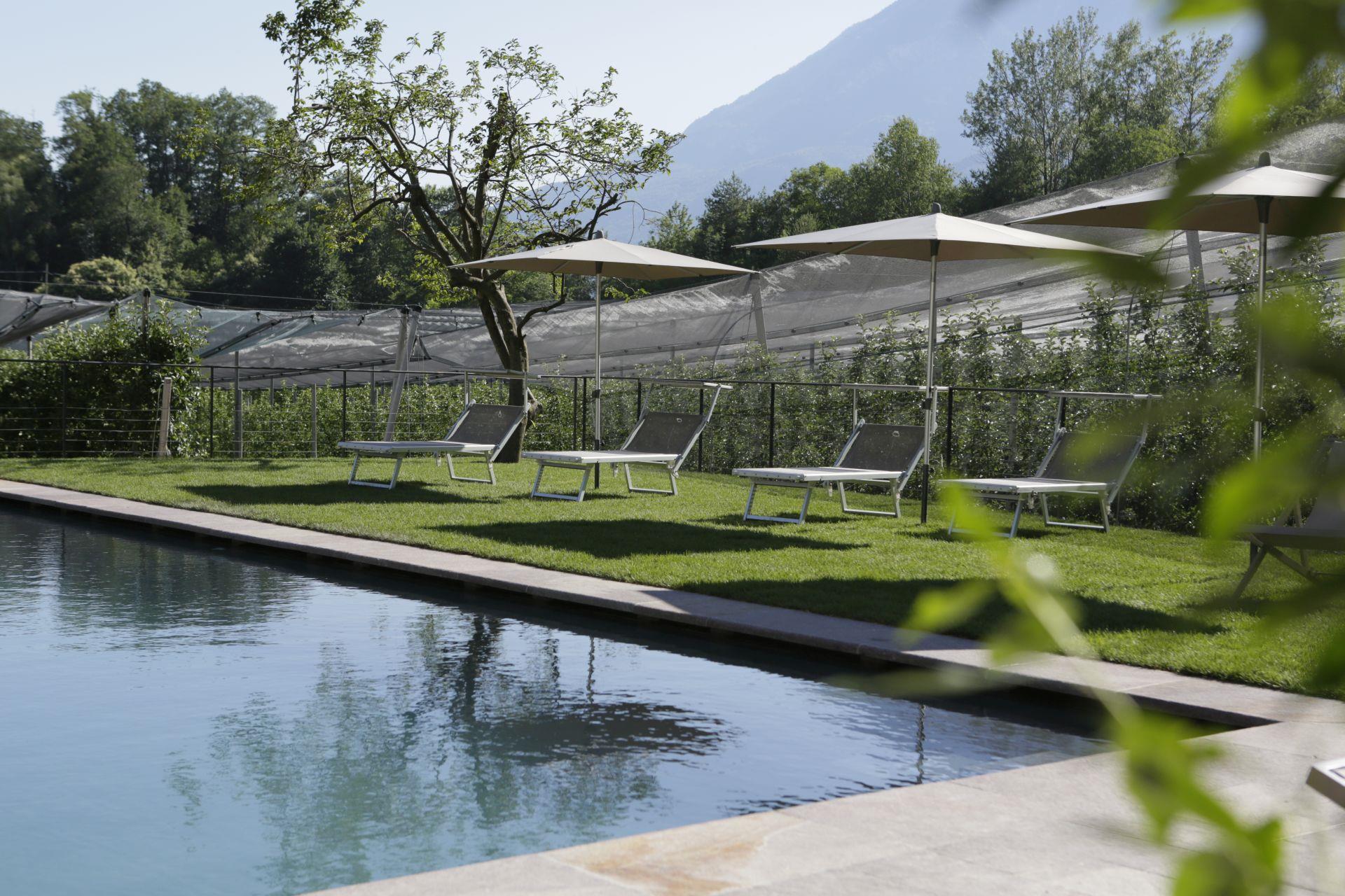 BNB Kreithof Kaltern an der Weinstraße/Caldaro sulla Strada del Vino 2 suedtirol.info