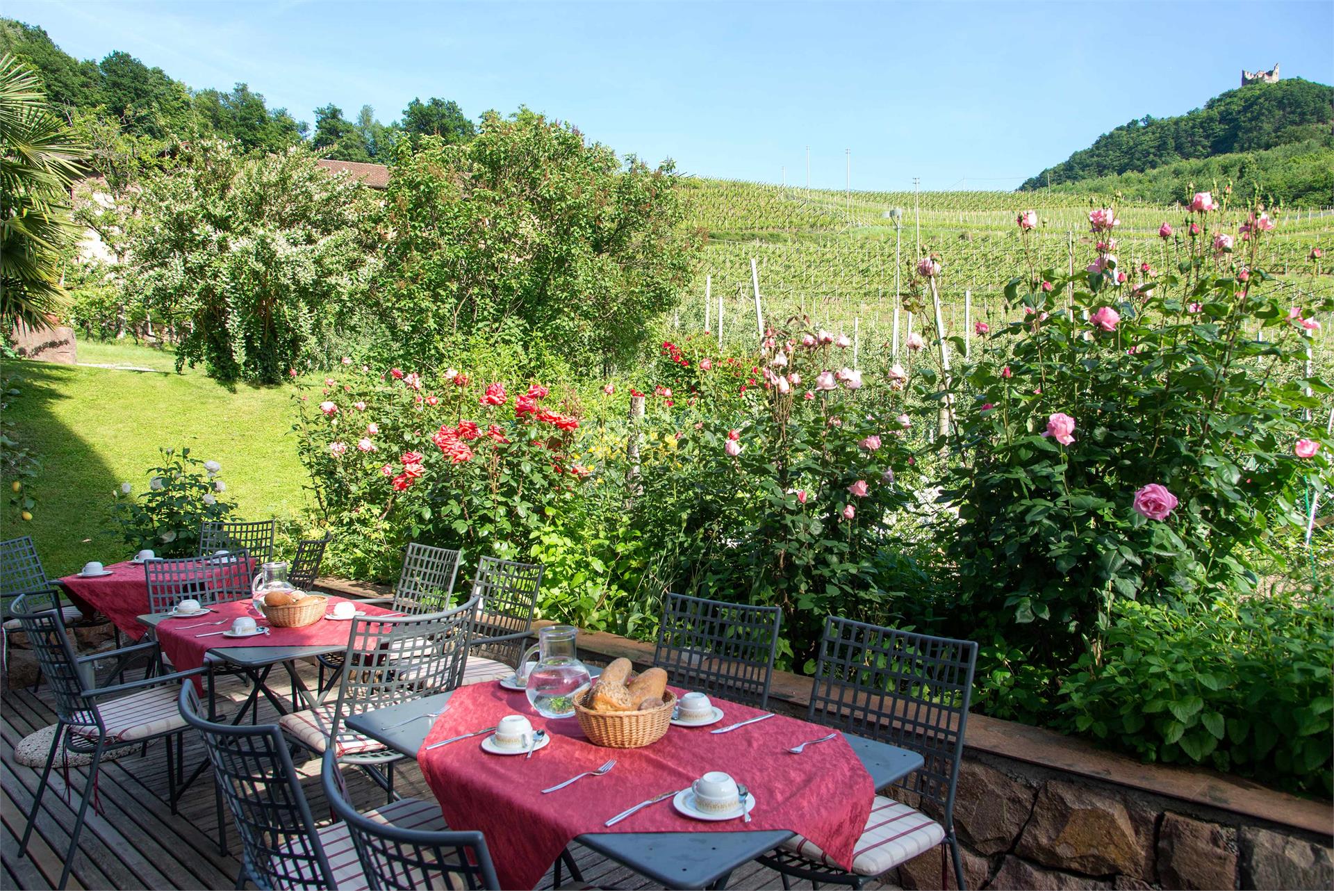 BNB Kreithof Kaltern an der Weinstraße/Caldaro sulla Strada del Vino 16 suedtirol.info
