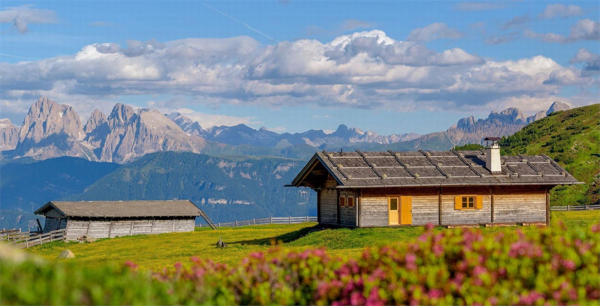 Untertheimerhof Villandro 18 suedtirol.info