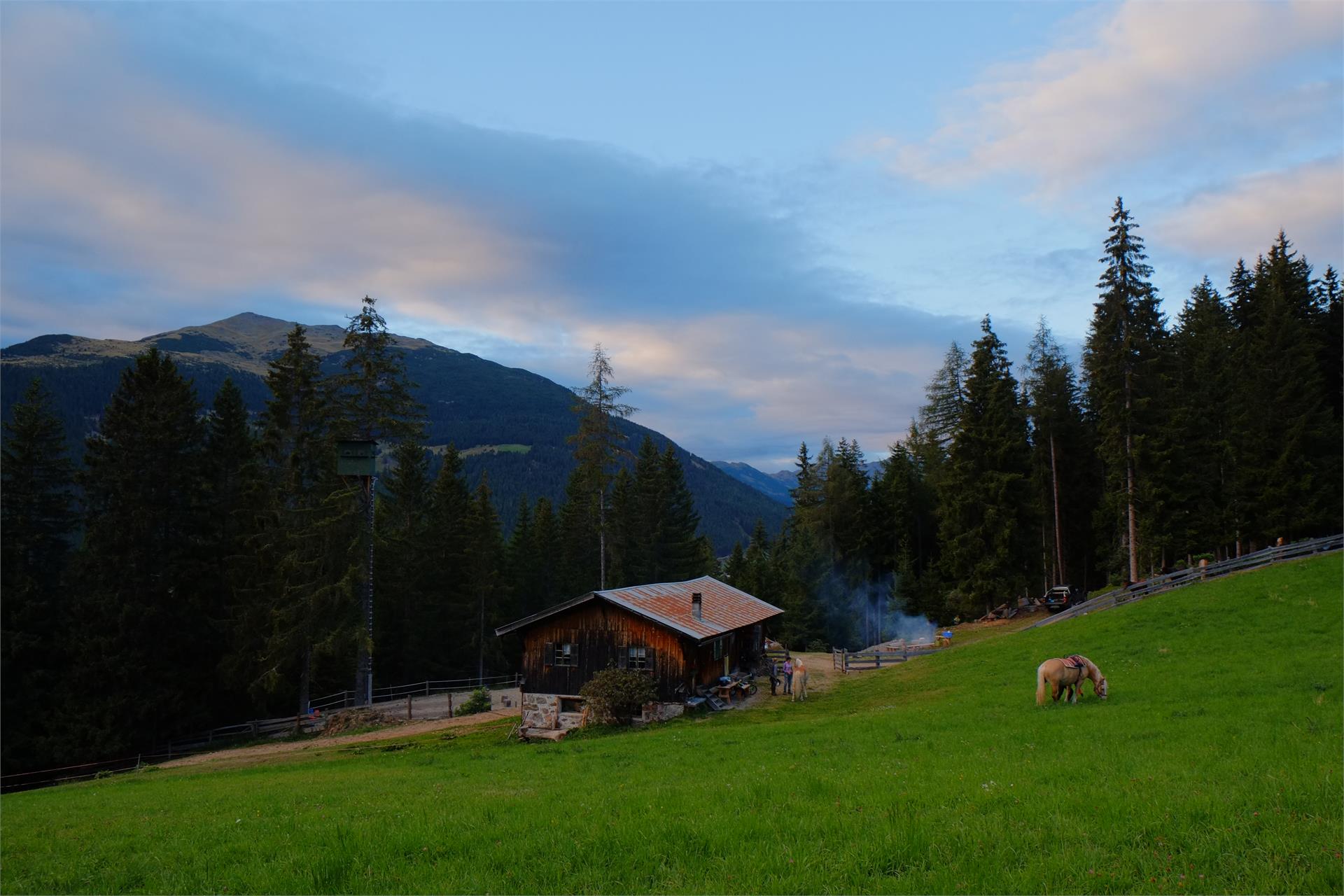 Bio Bauernhof & Reitstall Garmesegg Sarntal 10 suedtirol.info
