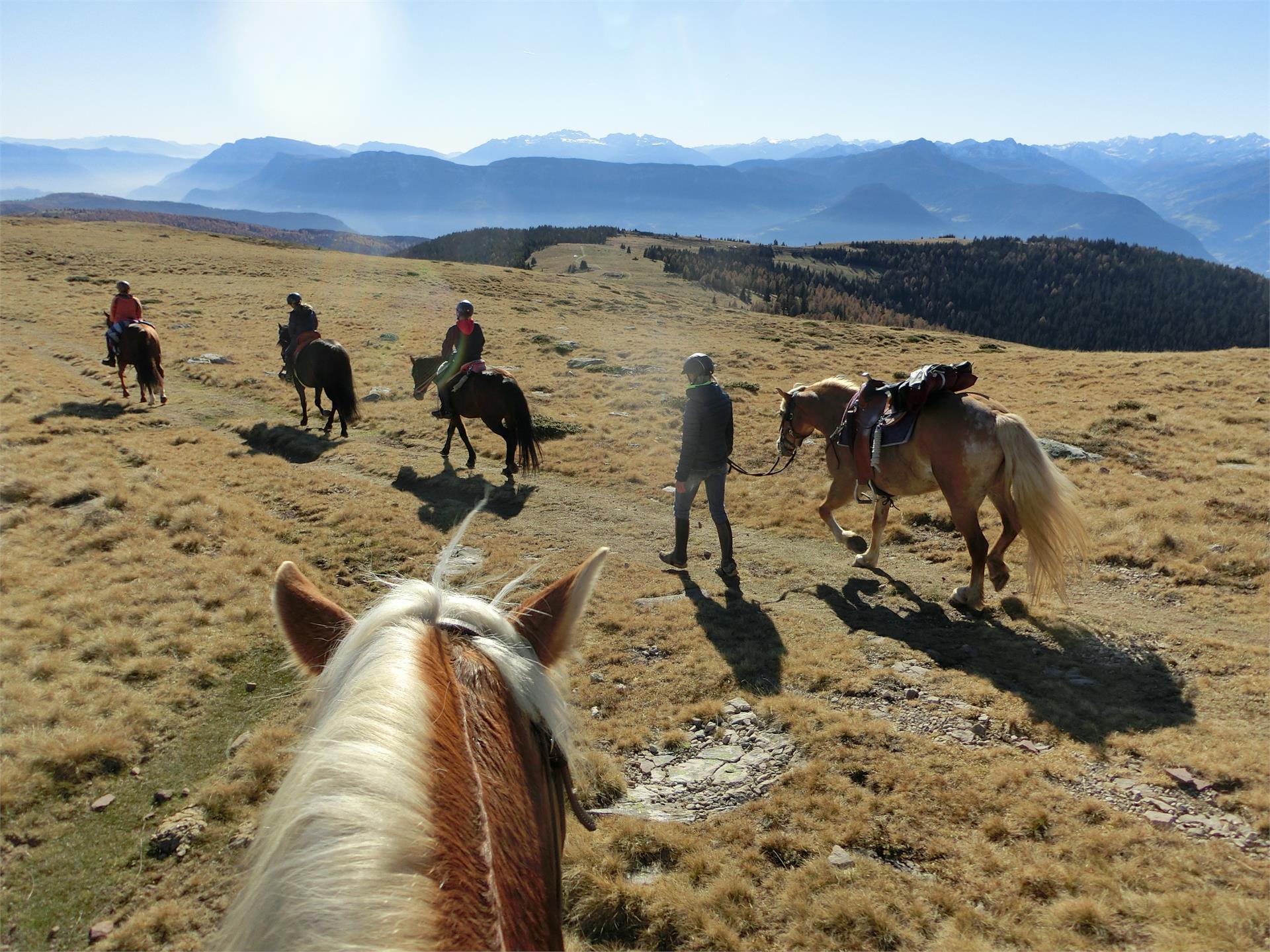 Bio Bauernhof & Reitstall Garmesegg Sarntal 4 suedtirol.info