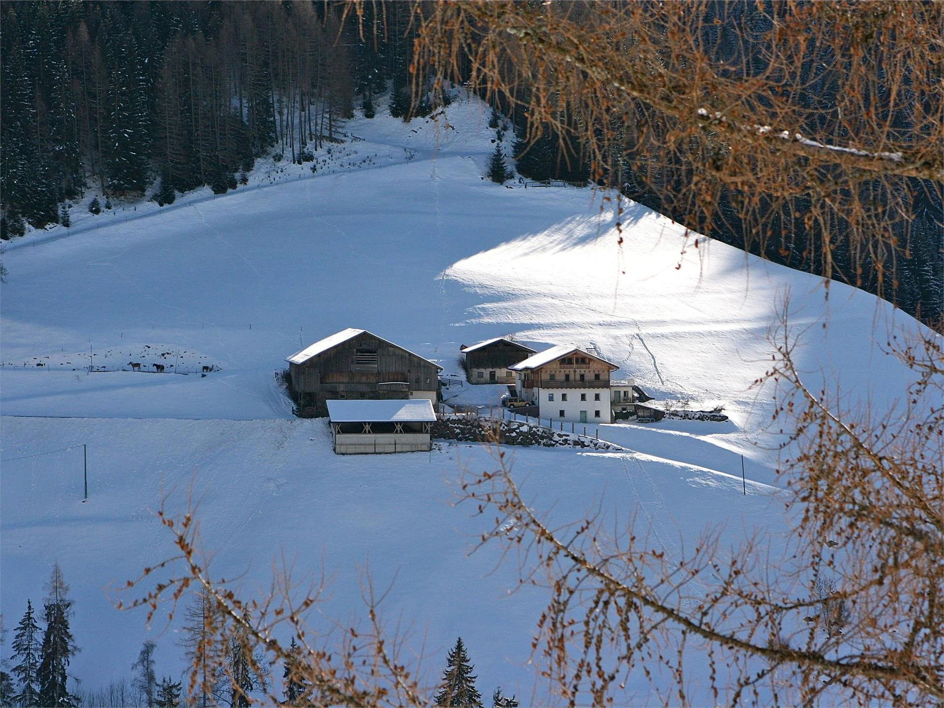 Agriturismo Biologico & Maneggio Garmesegg Sarentino 1 suedtirol.info