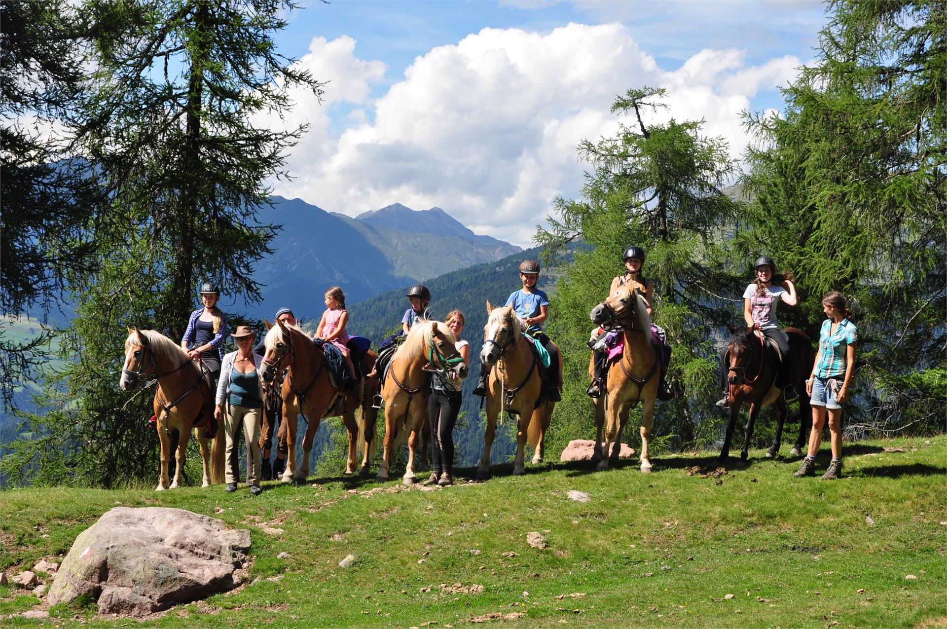 Bio Bauernhof & Reitstall Garmesegg Sarntal 16 suedtirol.info
