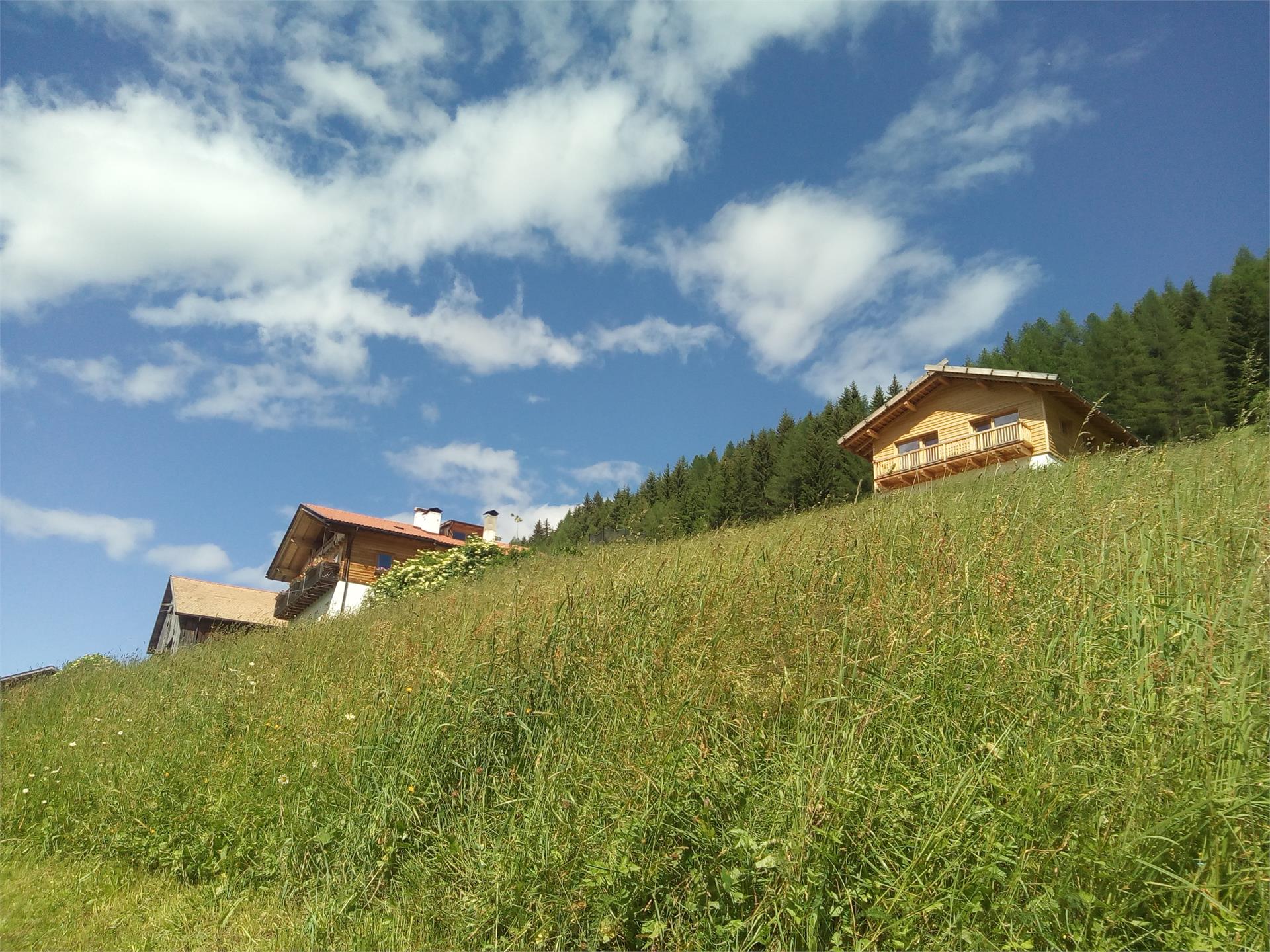 Bio Bauernhof & Reitstall Garmesegg Sarntal 1 suedtirol.info