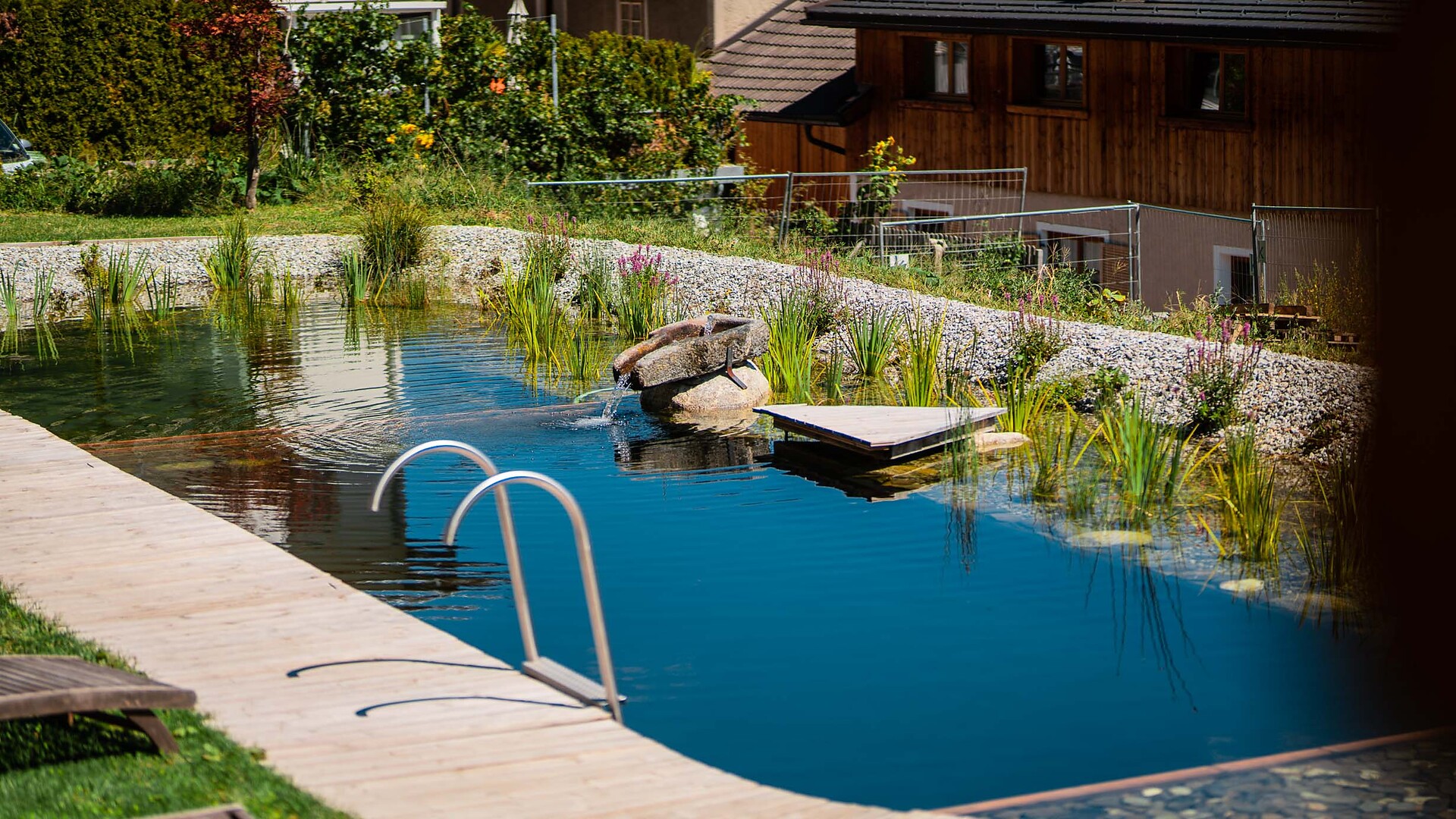 Naturschwimmteich
