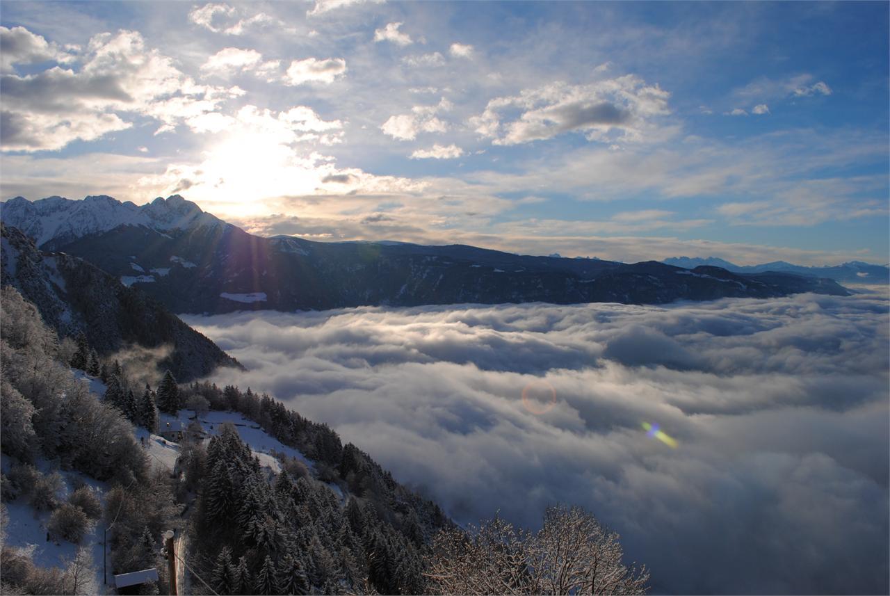 Bauernhof Oberplatzerhof Algund 4 suedtirol.info