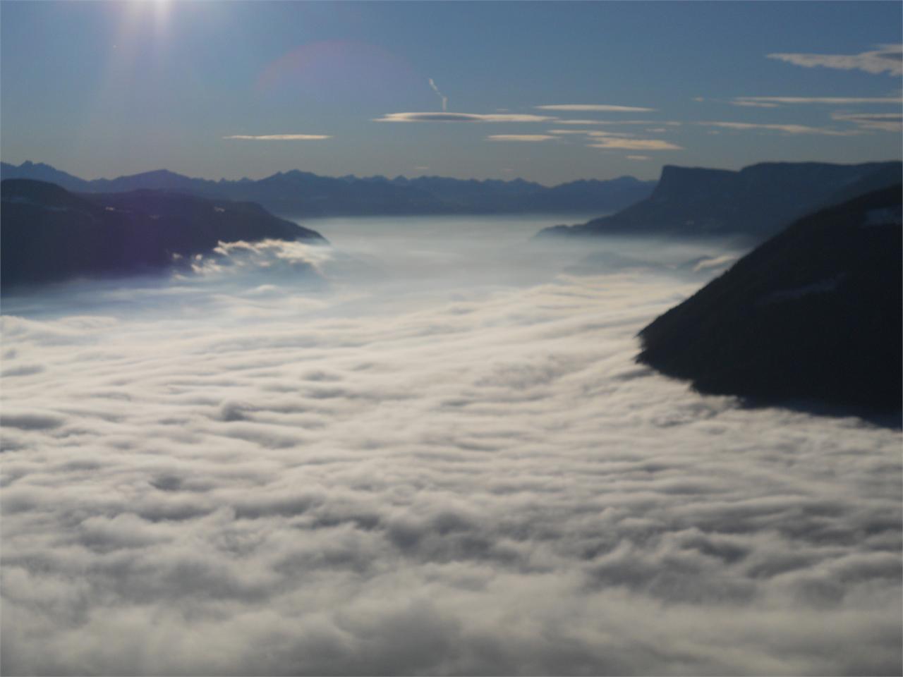 Bauernhof Oberplatzerhof Algund 3 suedtirol.info