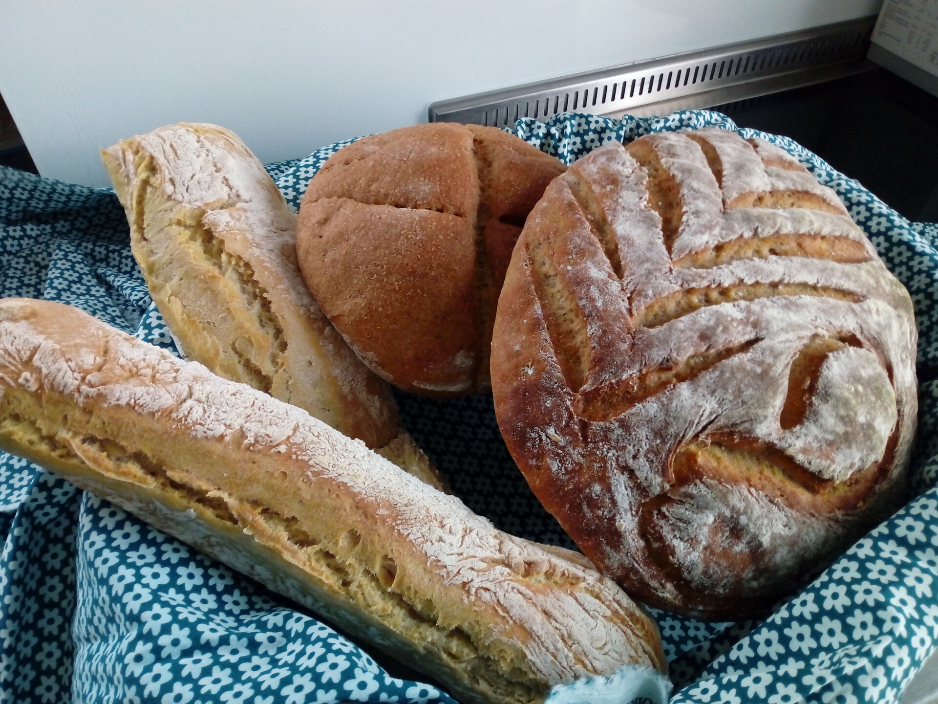 Bread