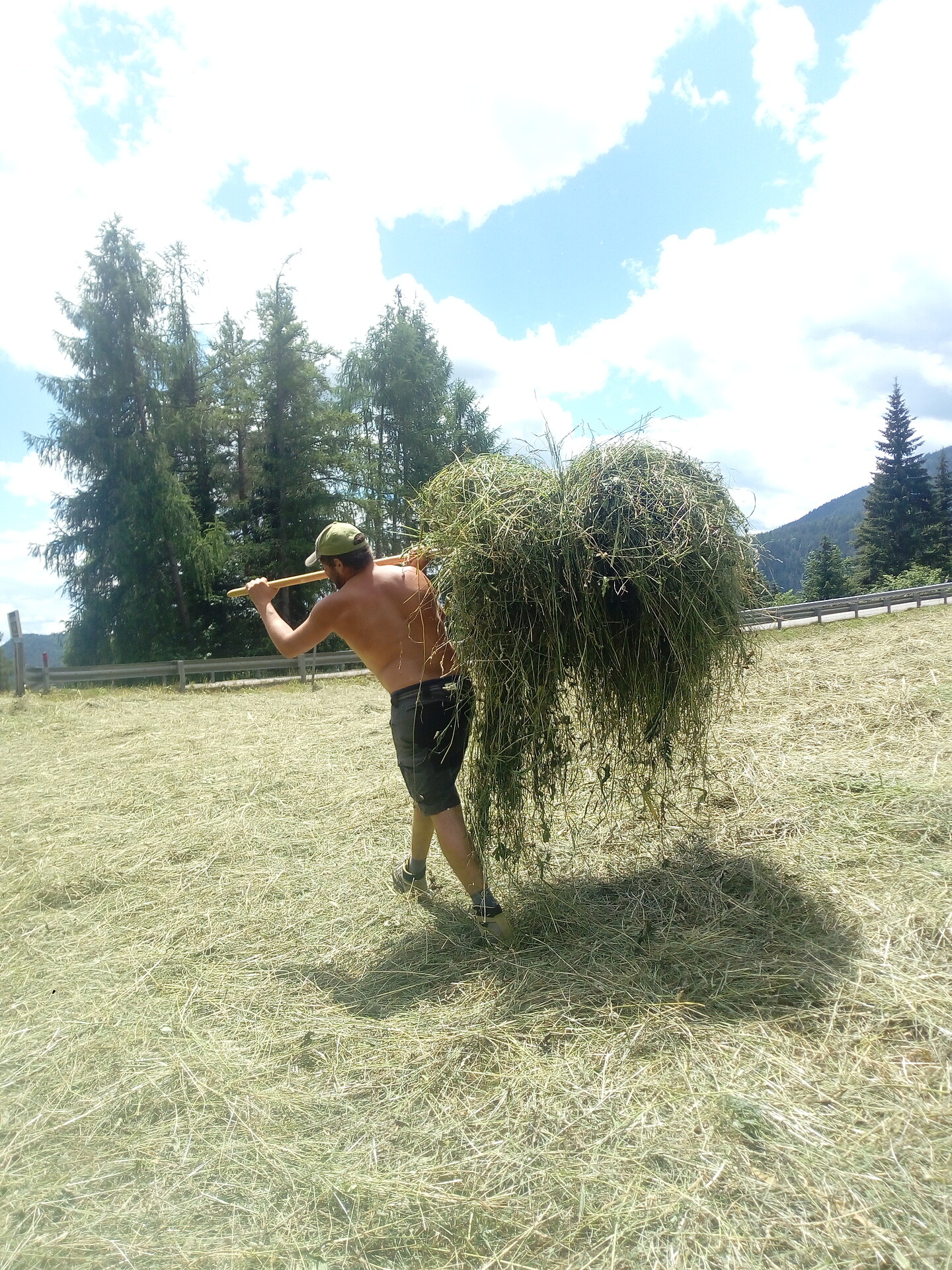 Working the hay