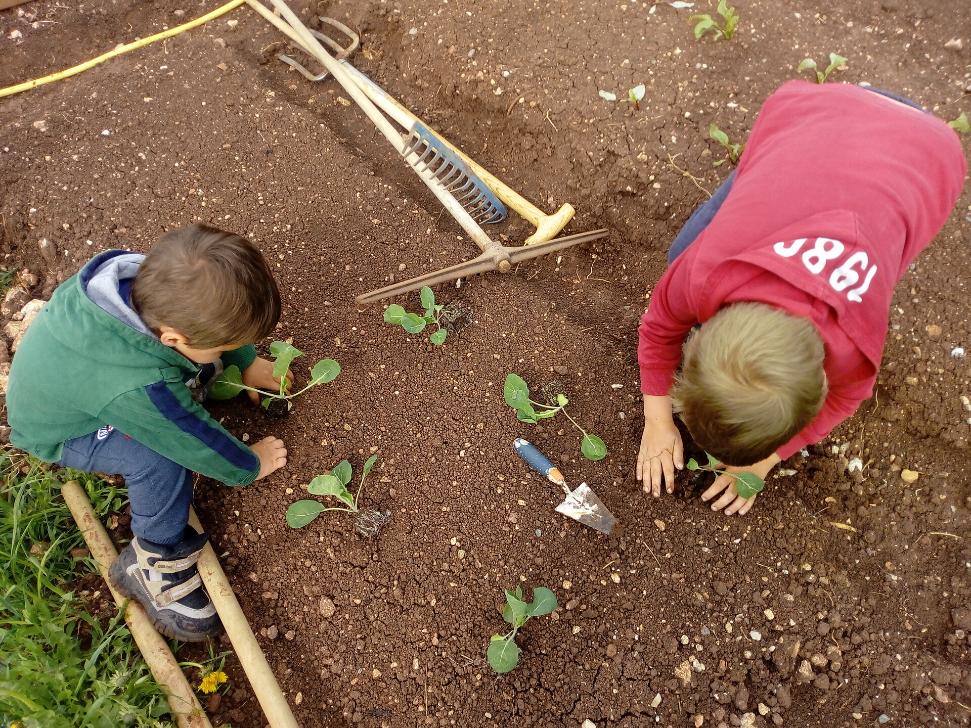 Kids as gardener