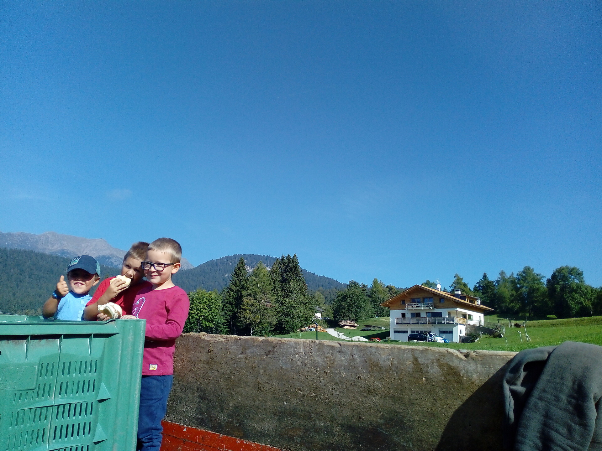 potato harvest