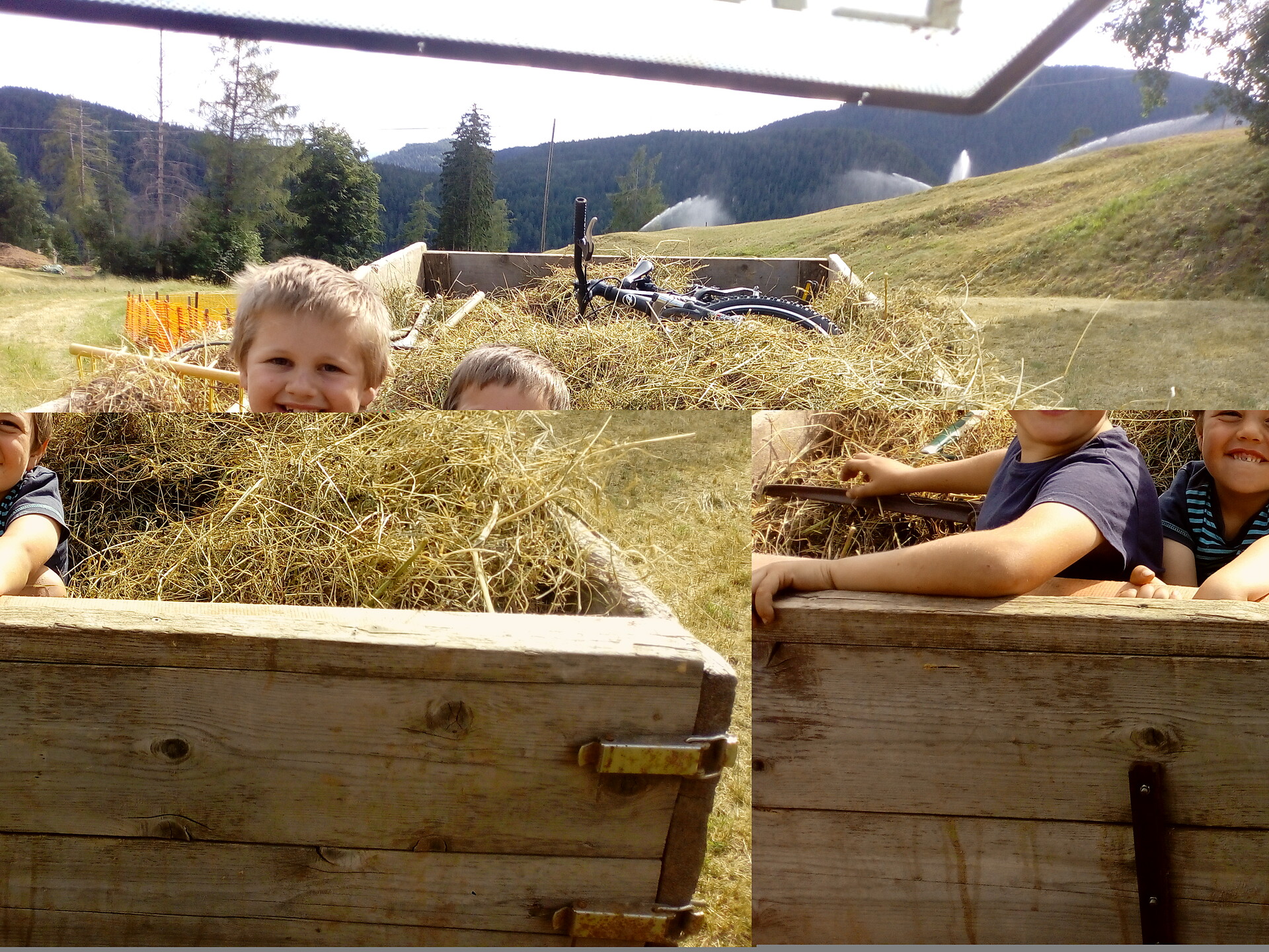 Working the hay