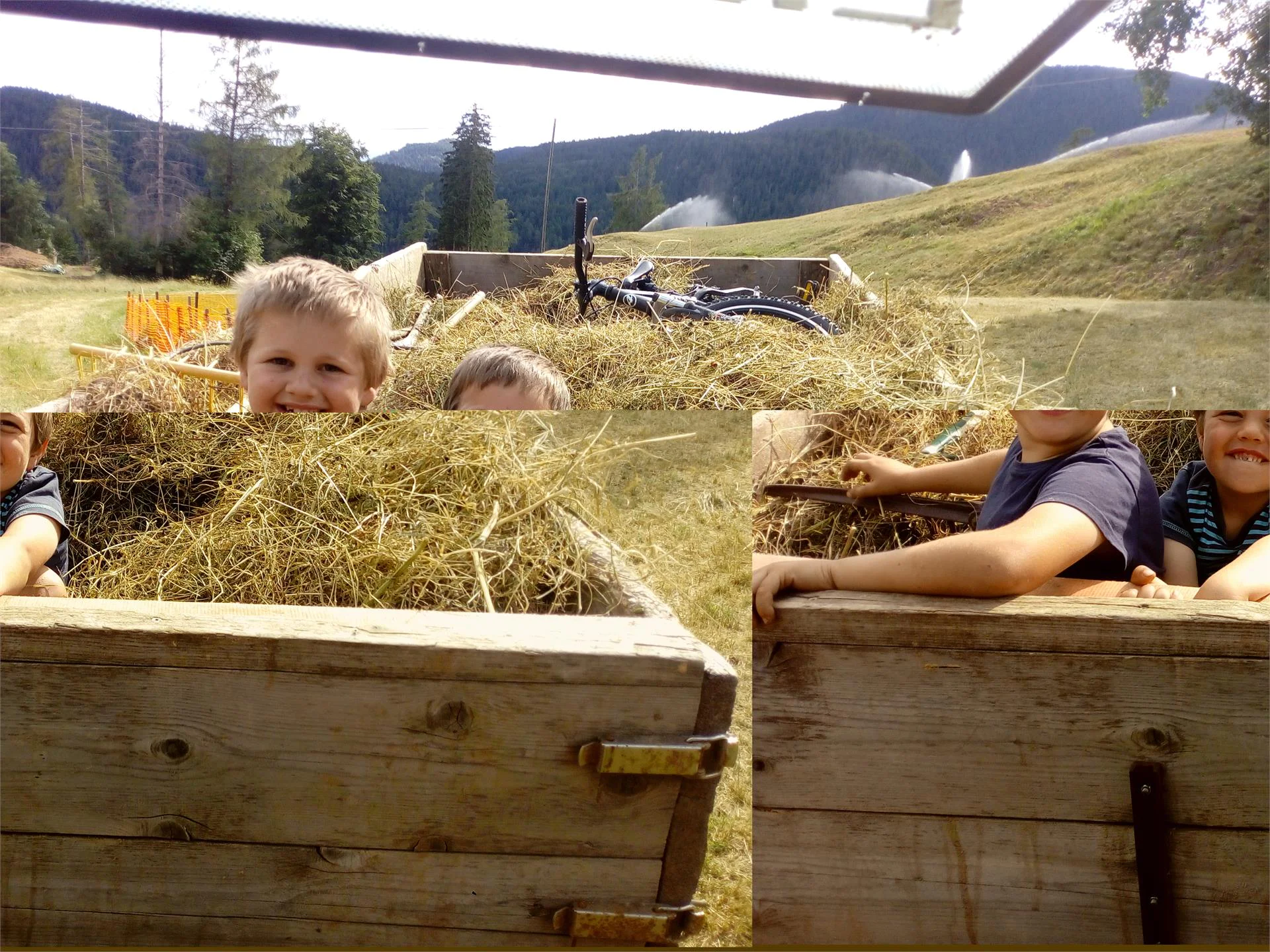 Brugghof U.L.Frau i.W.-St. Felix/Senale-S.Felice 12 suedtirol.info