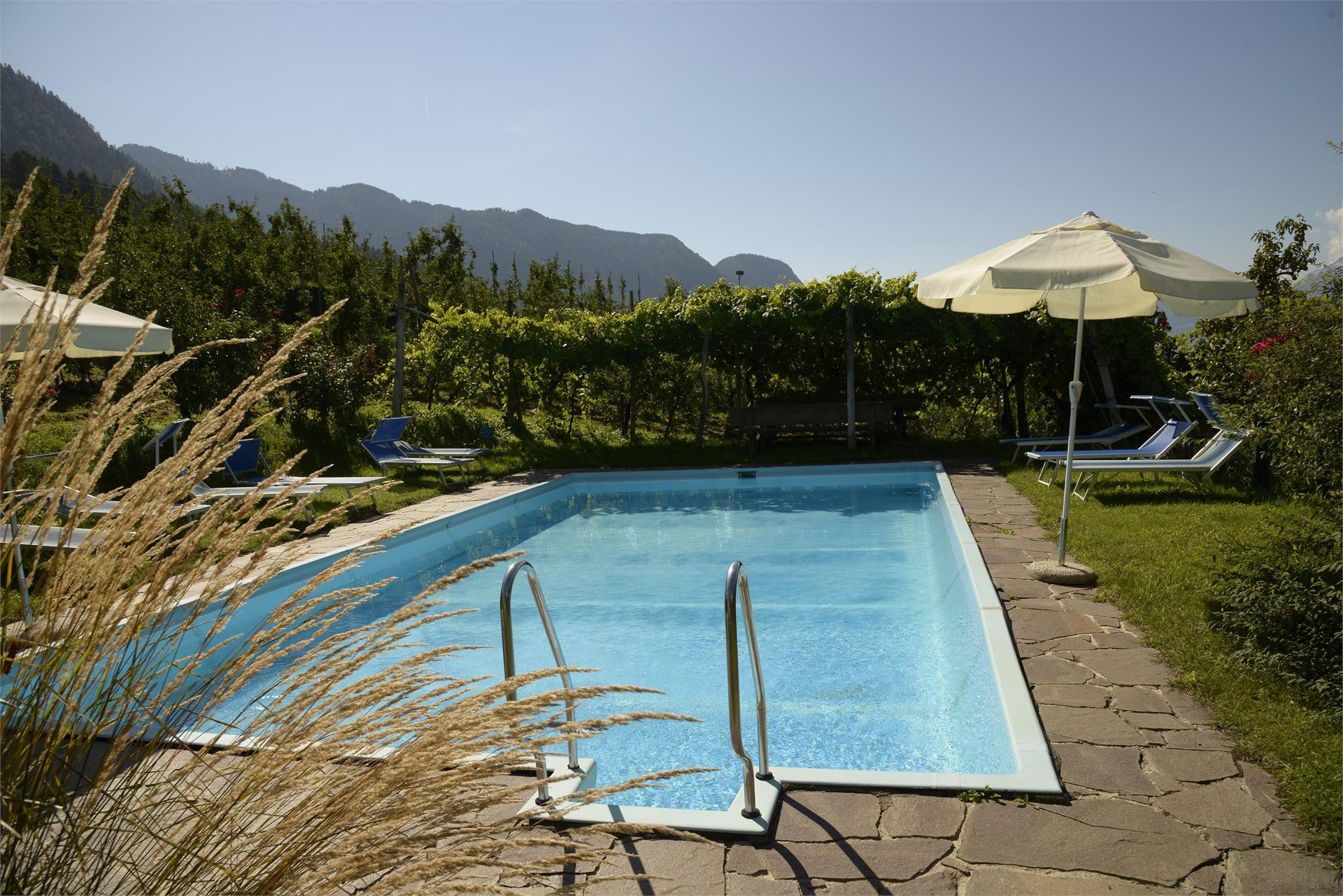 B&B - Ferienwohnungen Krebishof Schenna 5 suedtirol.info