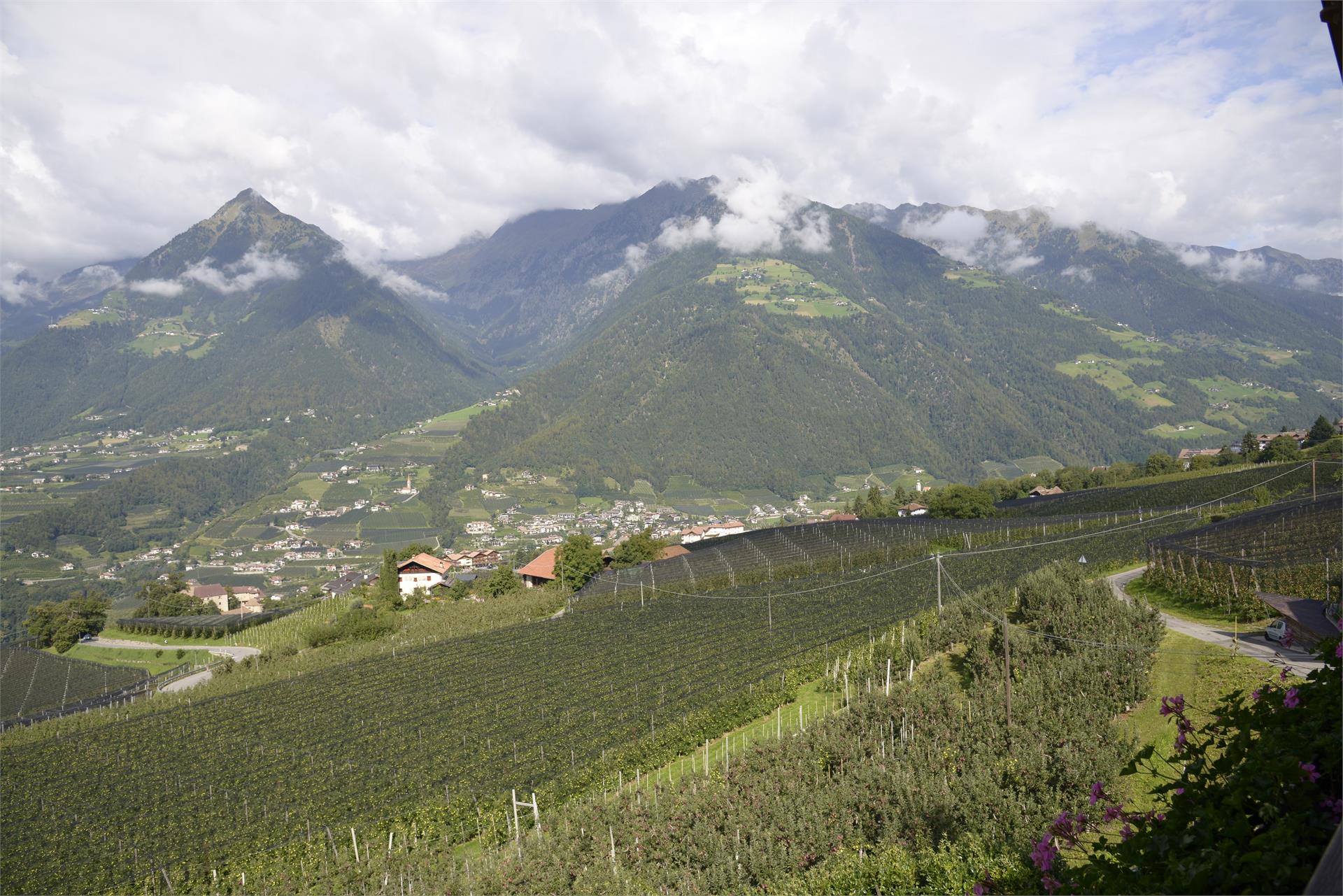 B&B - Ferienwohnungen Krebishof Schenna 9 suedtirol.info