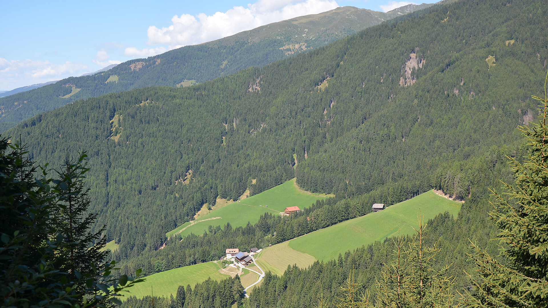 Bärntalerhof Falzes