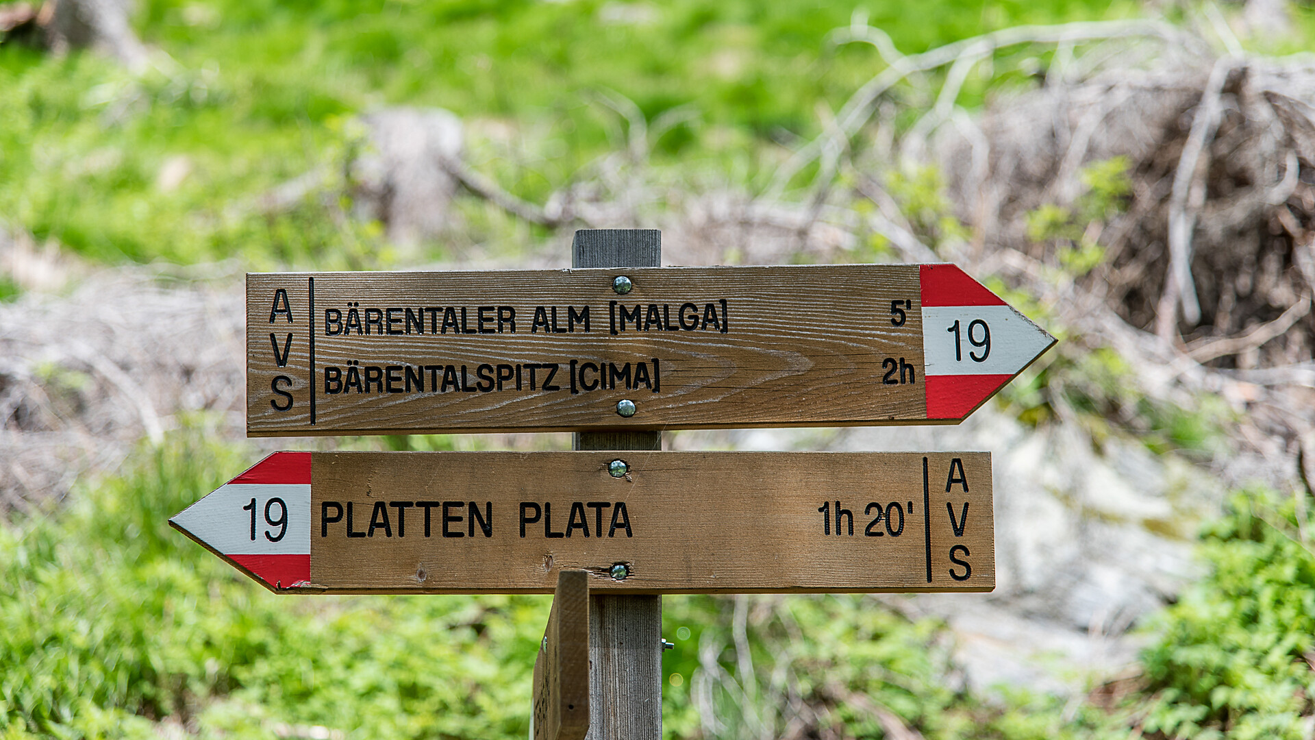 Malga Bärntaler