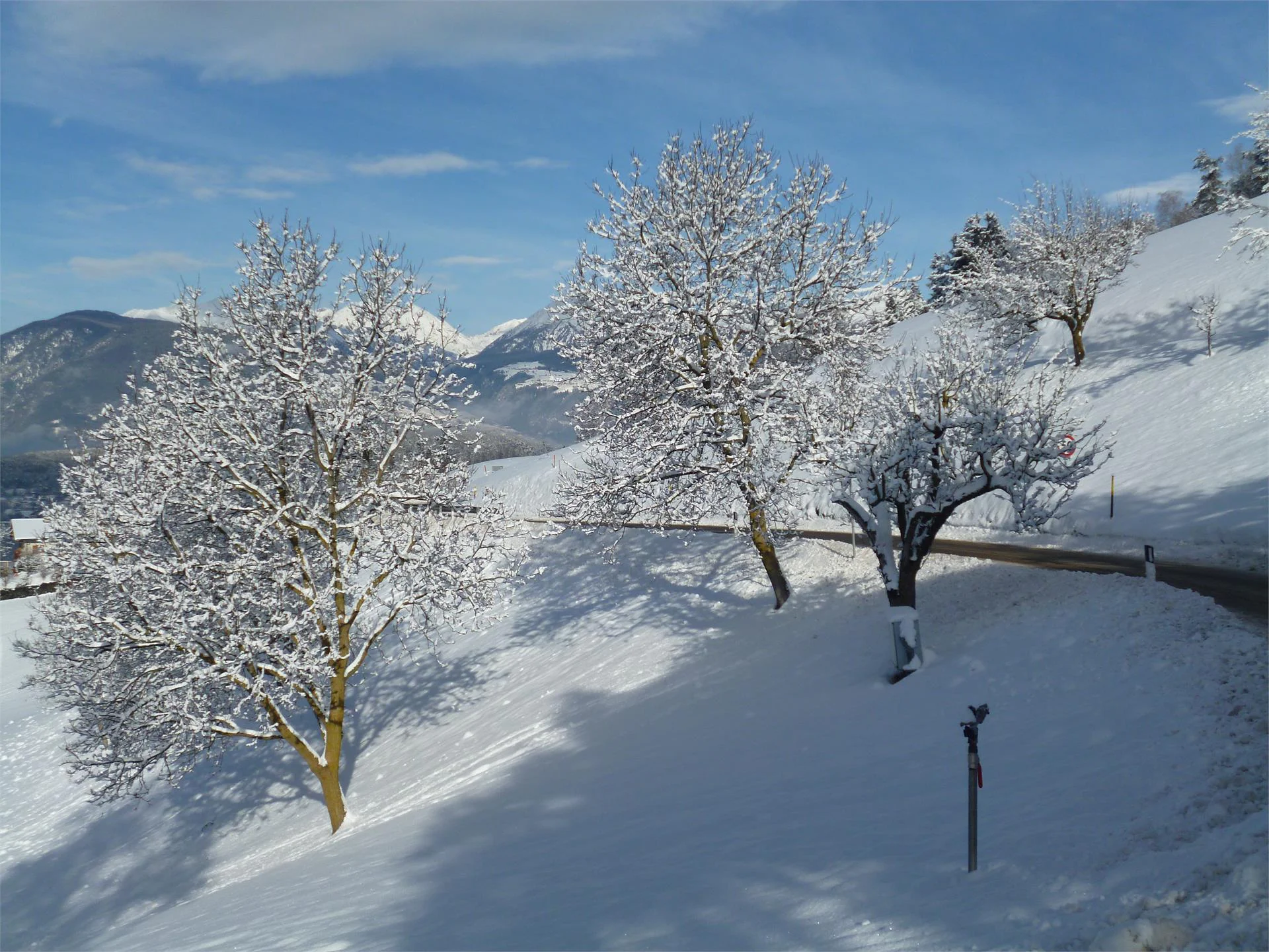 Baumannhof Brixen/Bressanone 12 suedtirol.info