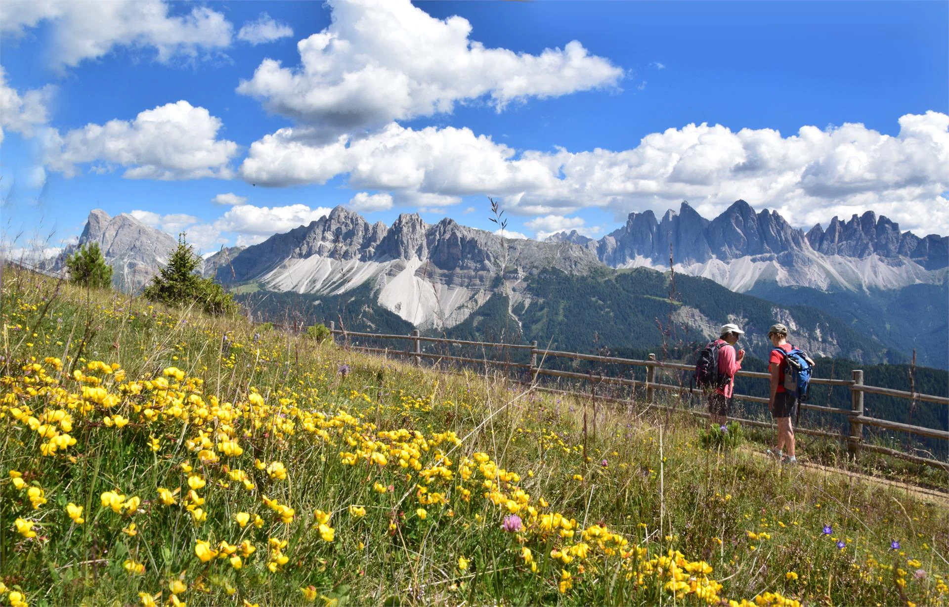 Baumannhof Brixen/Bressanone 18 suedtirol.info