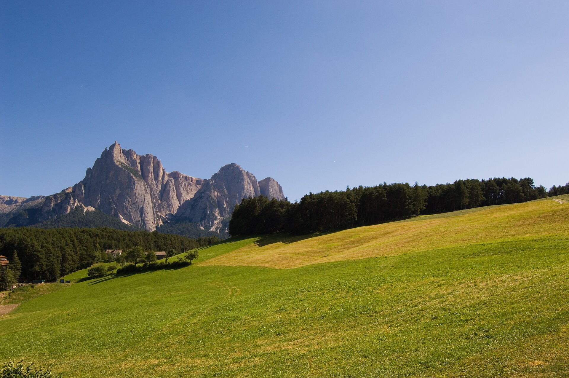 Maso Oberlanzin - Regione dolomitica Alpe di Siusi - #7 - suedtirol.info