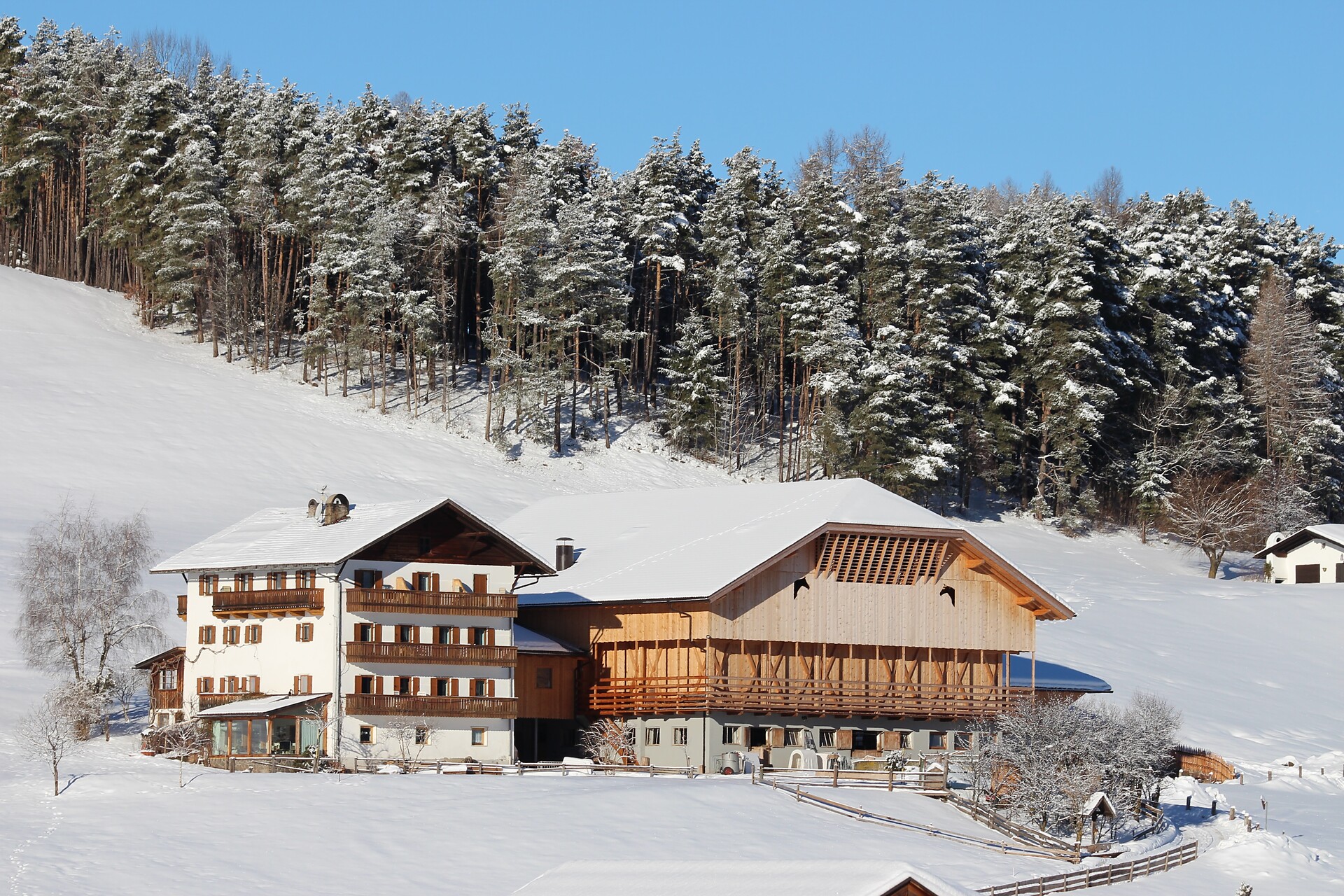Maso Oberlanzin - Regione dolomitica Alpe di Siusi - #3 - suedtirol.info