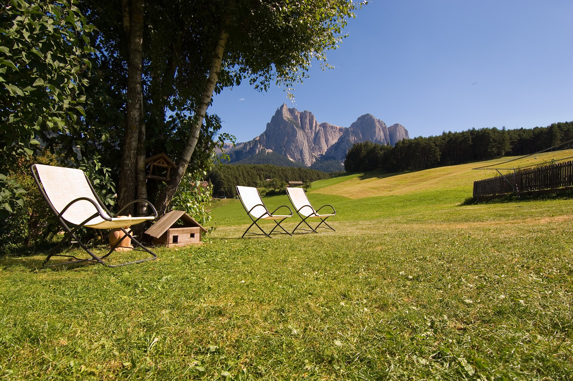Maso Oberlanzin - Regione dolomitica Alpe di Siusi - #6 - suedtirol.info