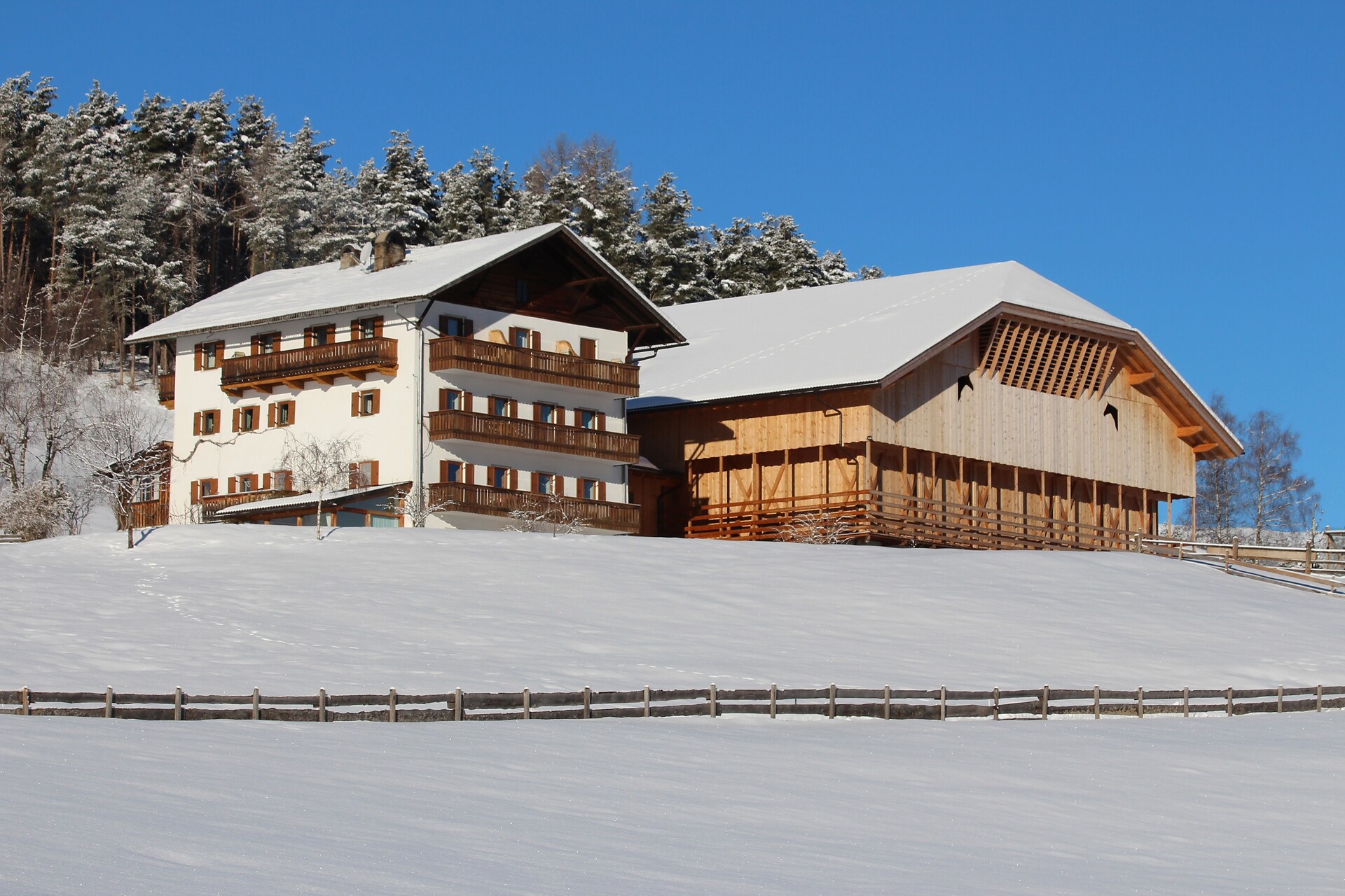 Maso Oberlanzin - Regione dolomitica Alpe di Siusi - #2 - suedtirol.info
