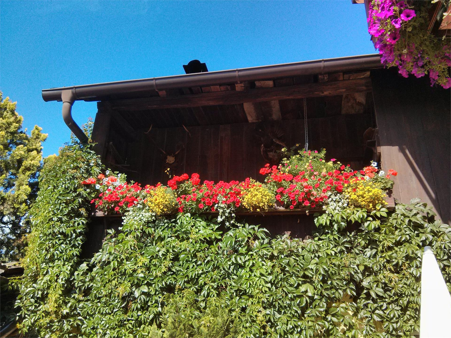 B&B Jägerheim Brunico 4 suedtirol.info