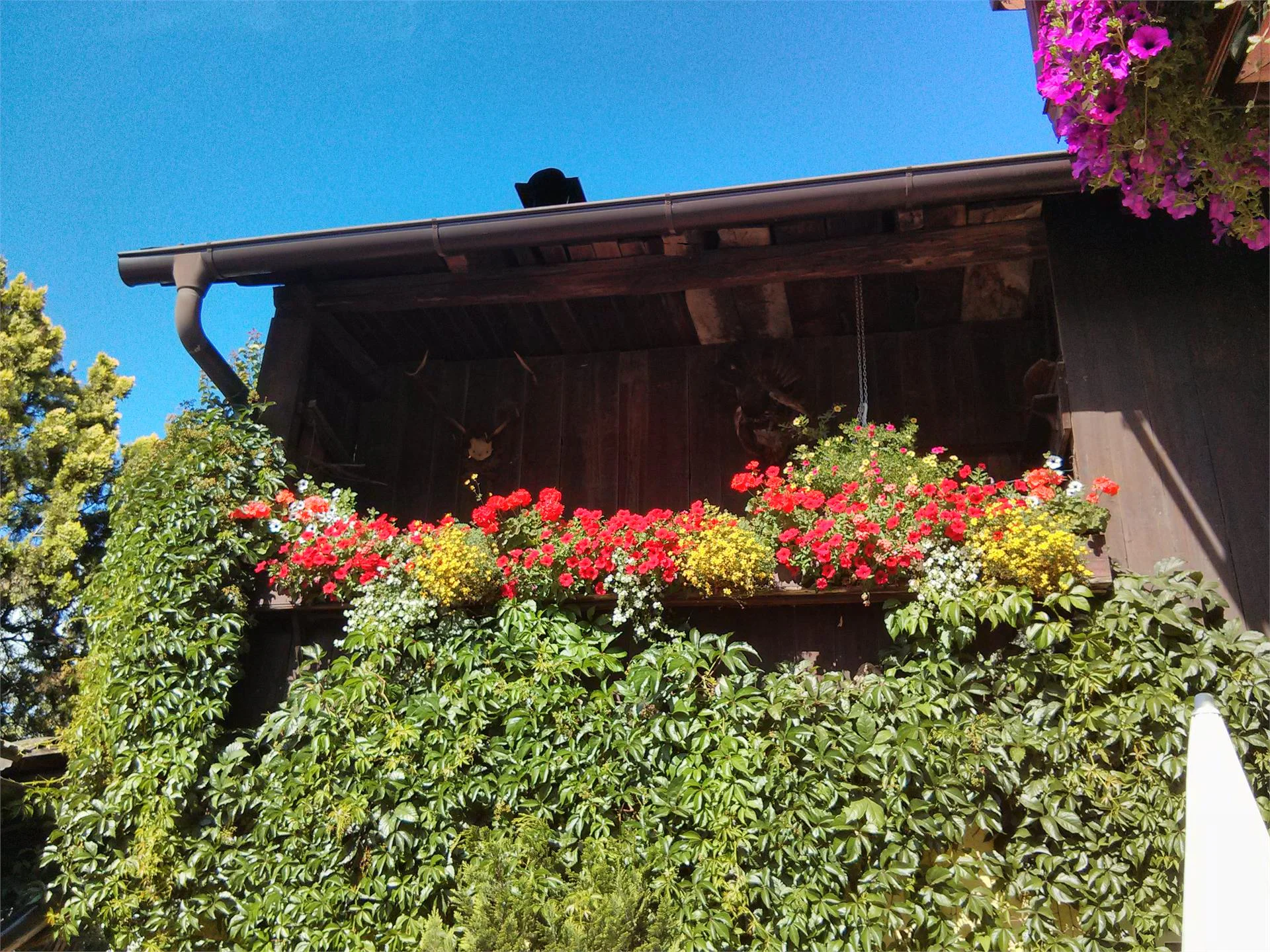 B&B Jägerheim Brunico 4 suedtirol.info