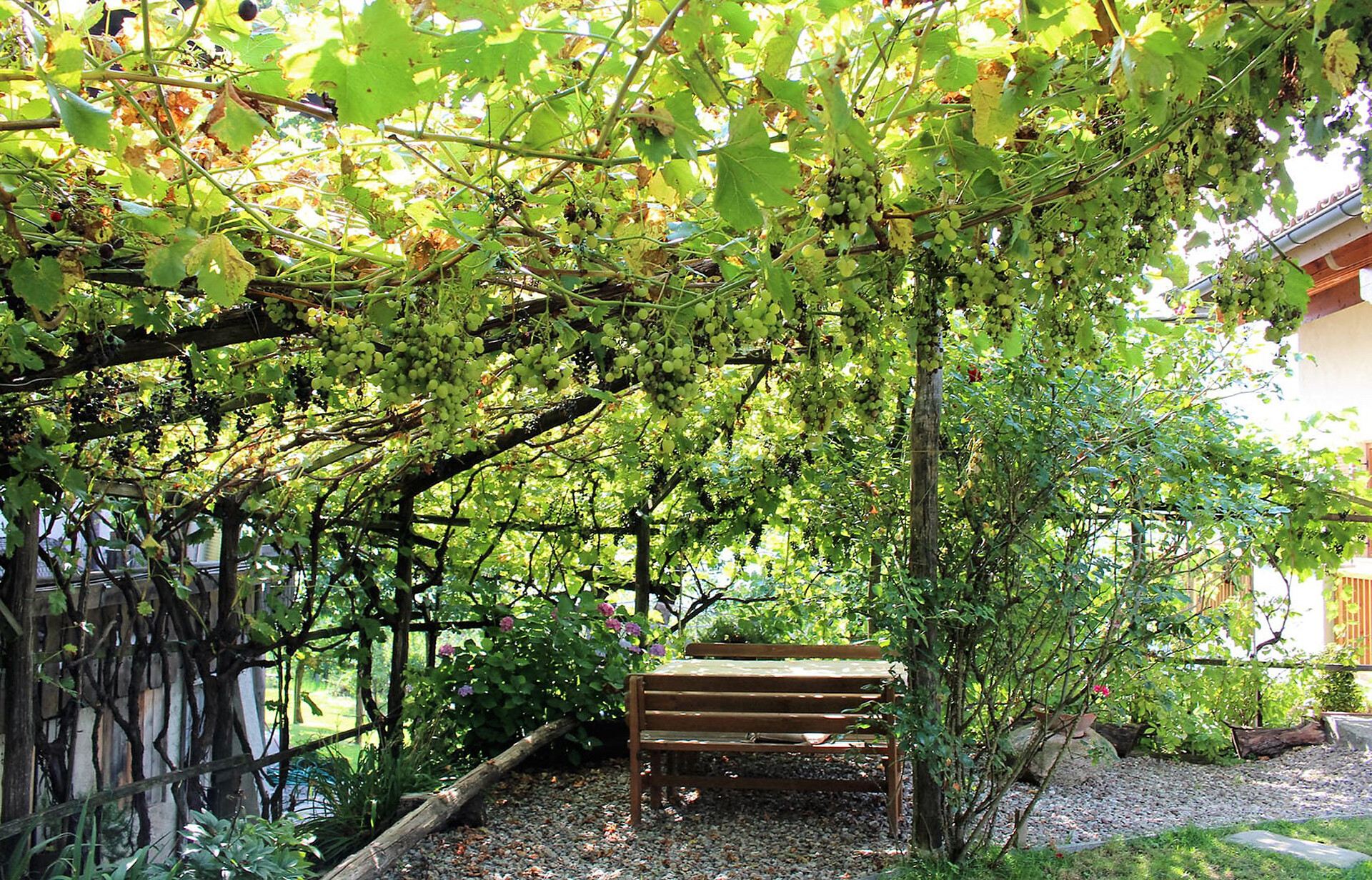 Giardino