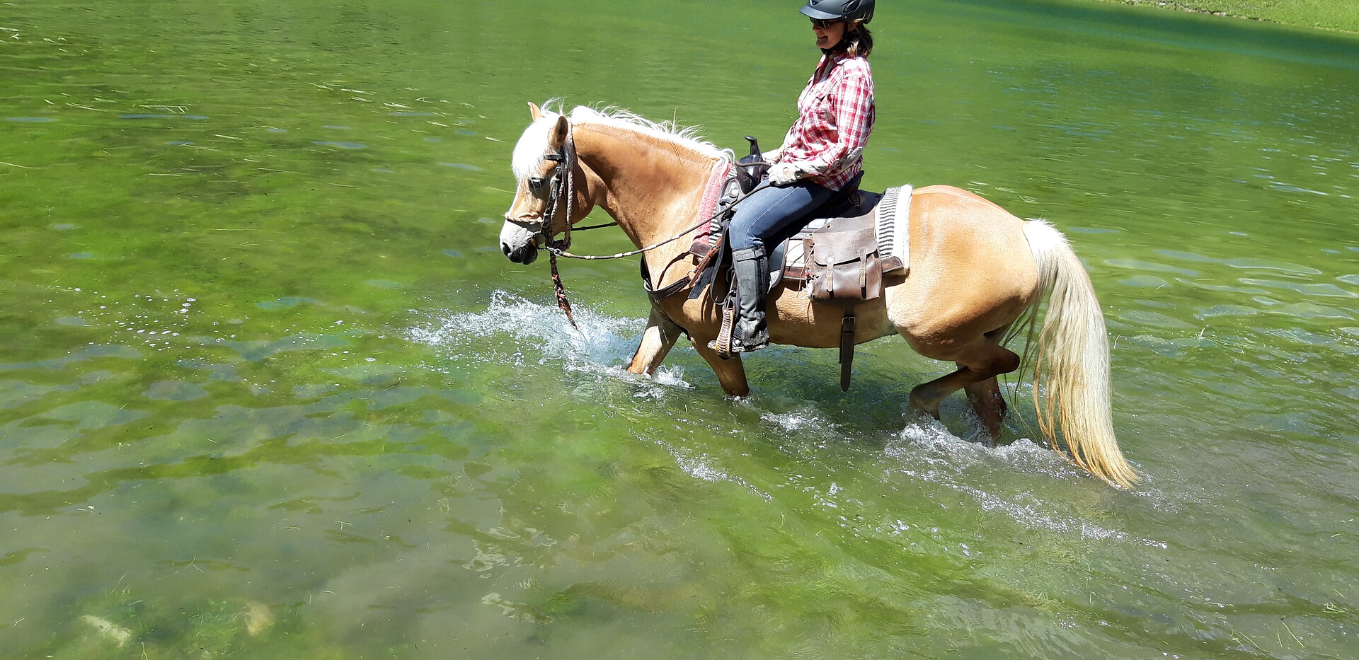 Baden mit Pferden