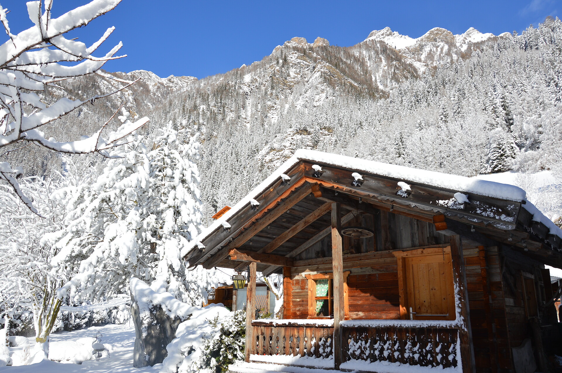 Winter Panorama Garten Berge