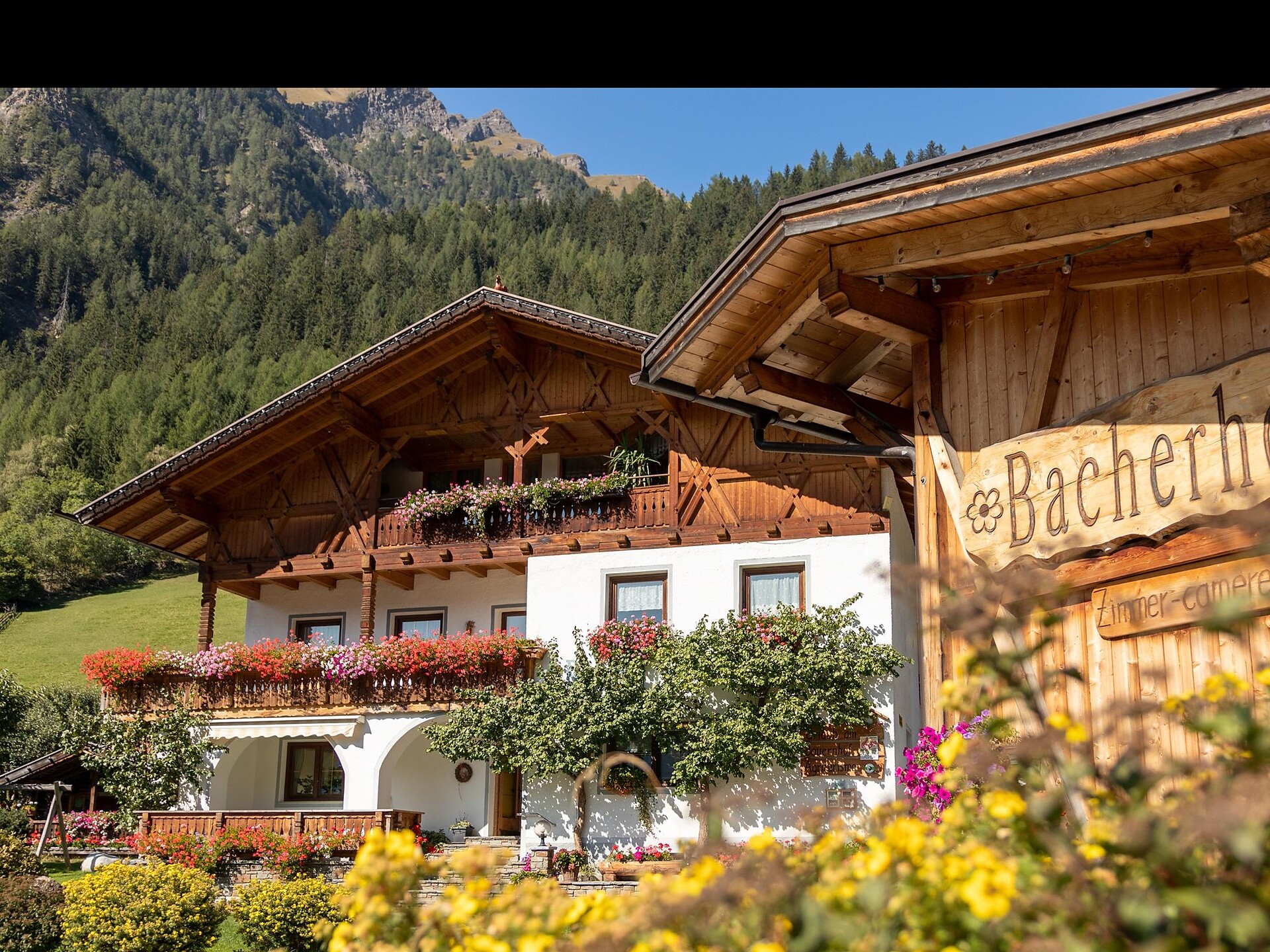 Bacherhof - Sterzing/Vipiteno and environs - #1 - suedtirol.info