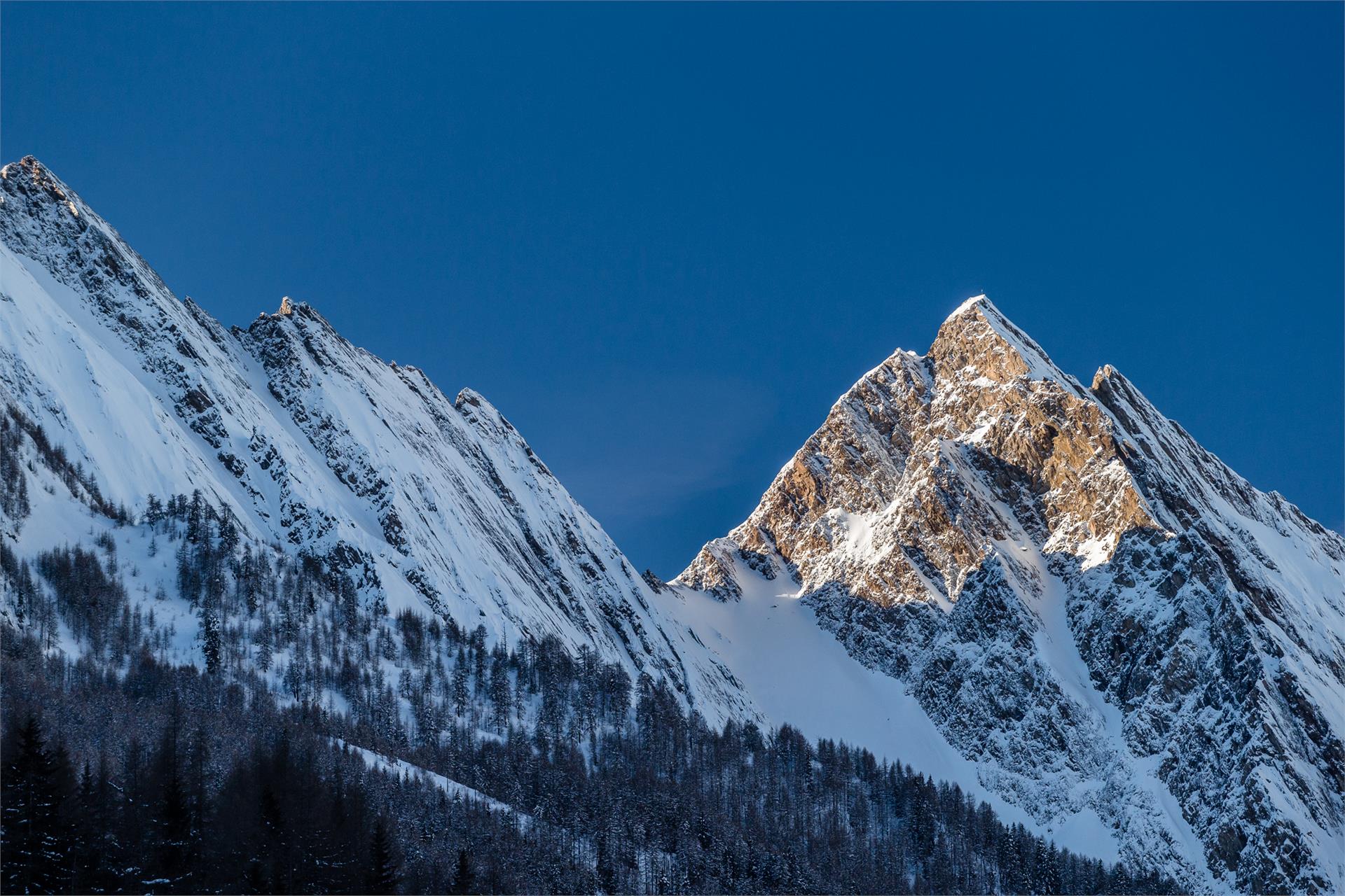 Boarhof Val di Vizze 9 suedtirol.info